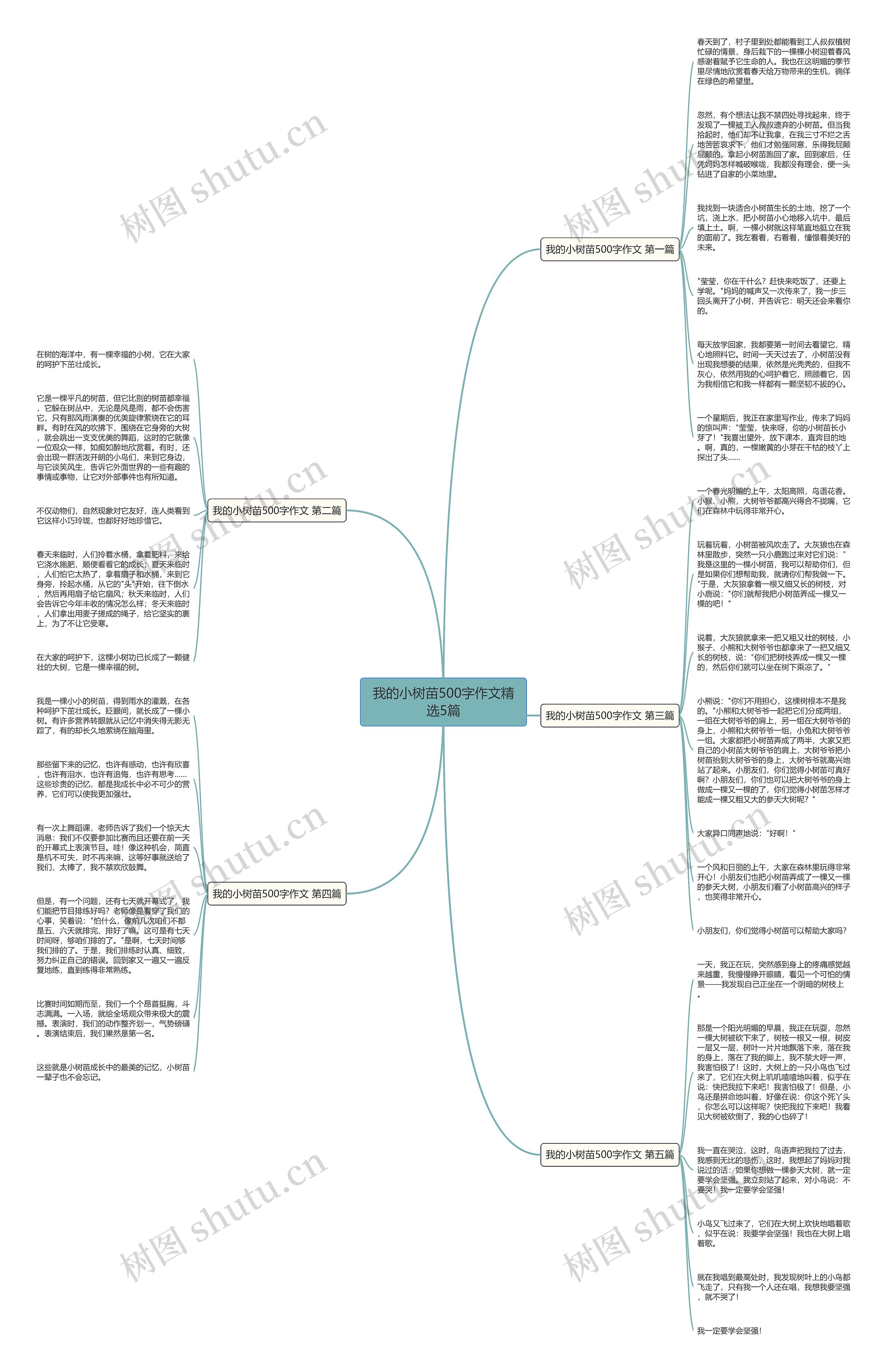 我的小树苗500字作文精选5篇 我的小树苗500字作文精选5篇