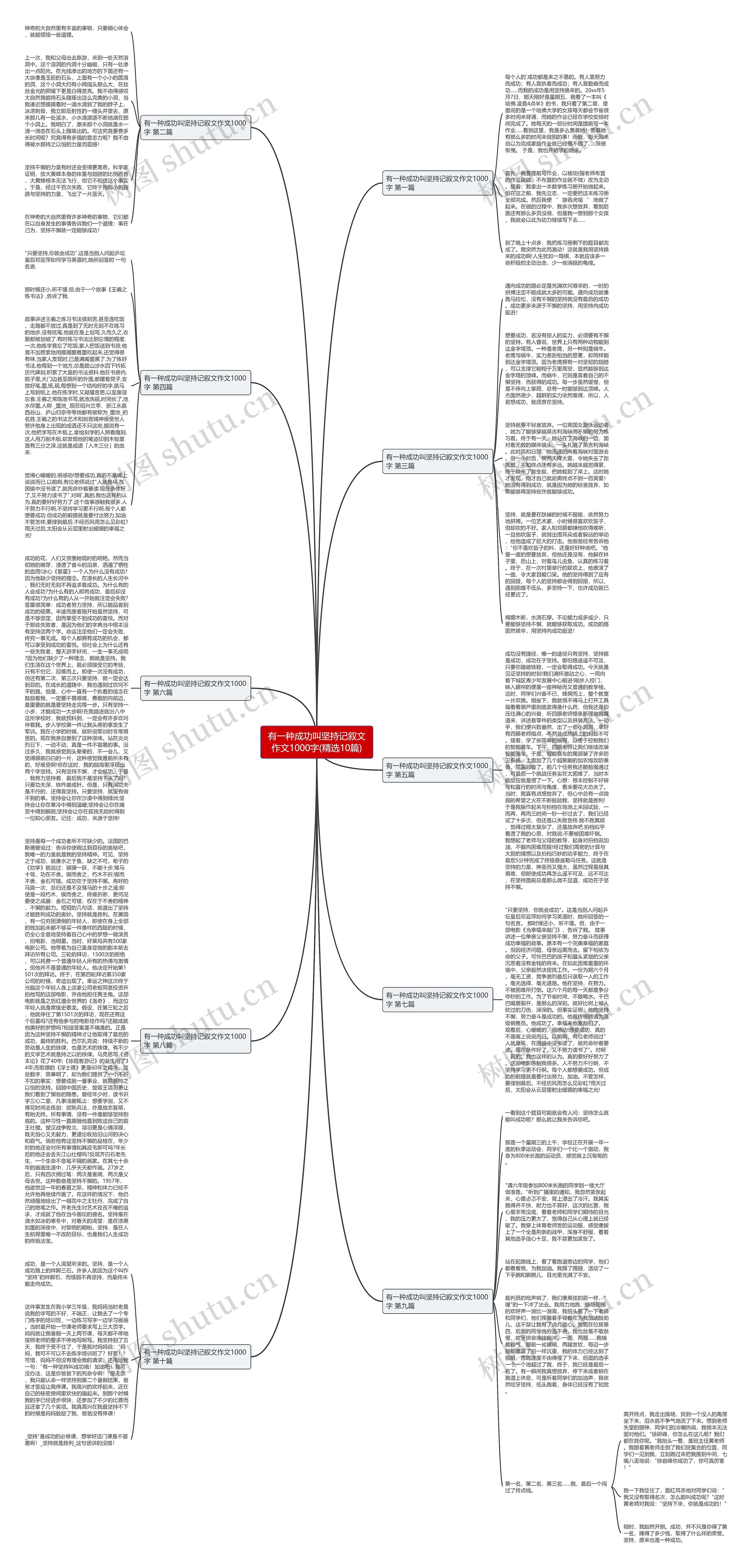 有一种成功叫坚持记叙文作文1000字(精选10篇)思维导图