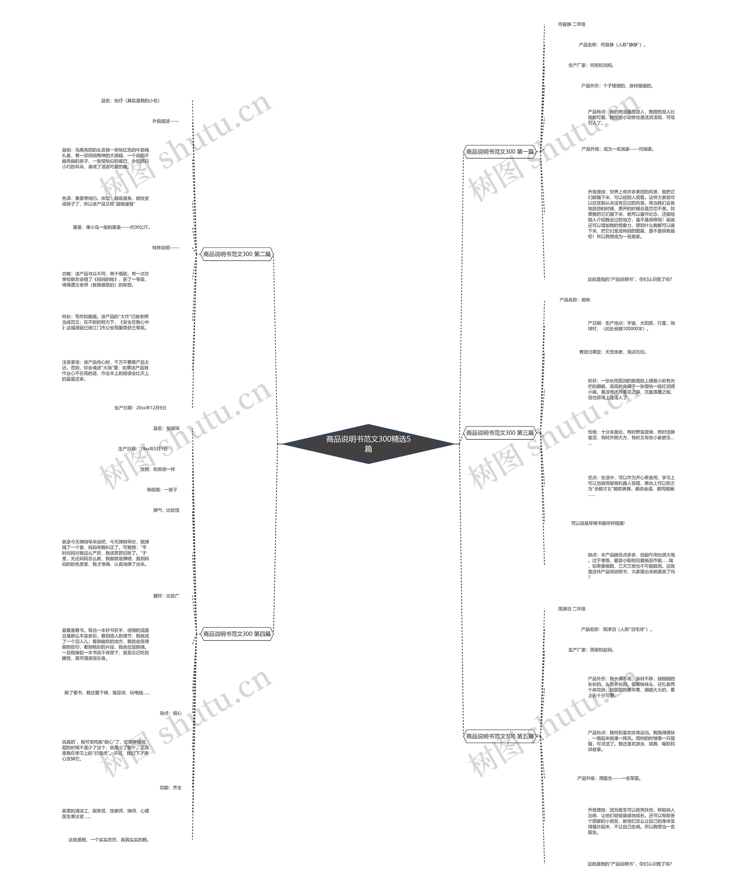 商品说明书范文300精选5篇思维导图