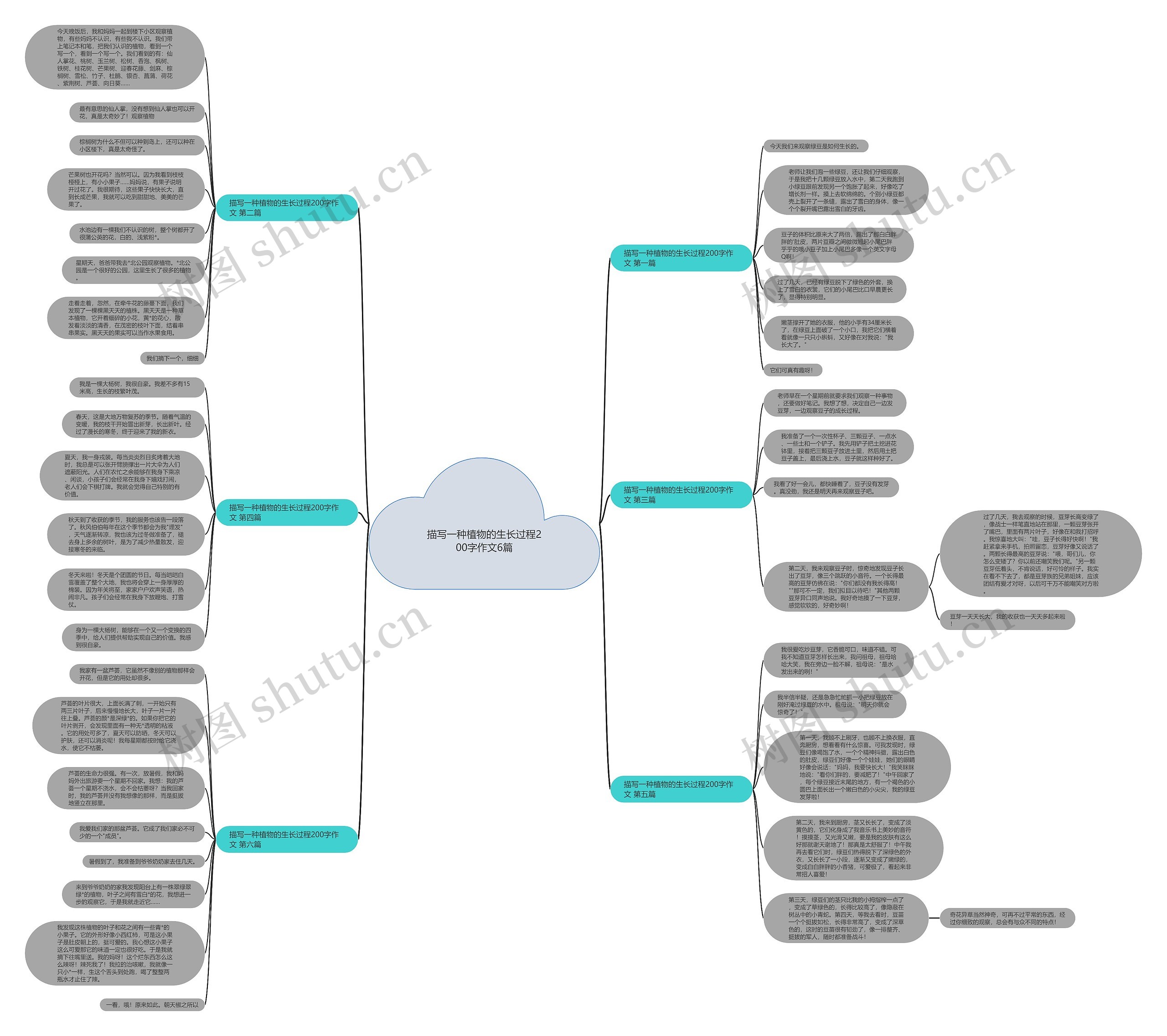 描写一种植物的生长过程200字作文6篇思维导图