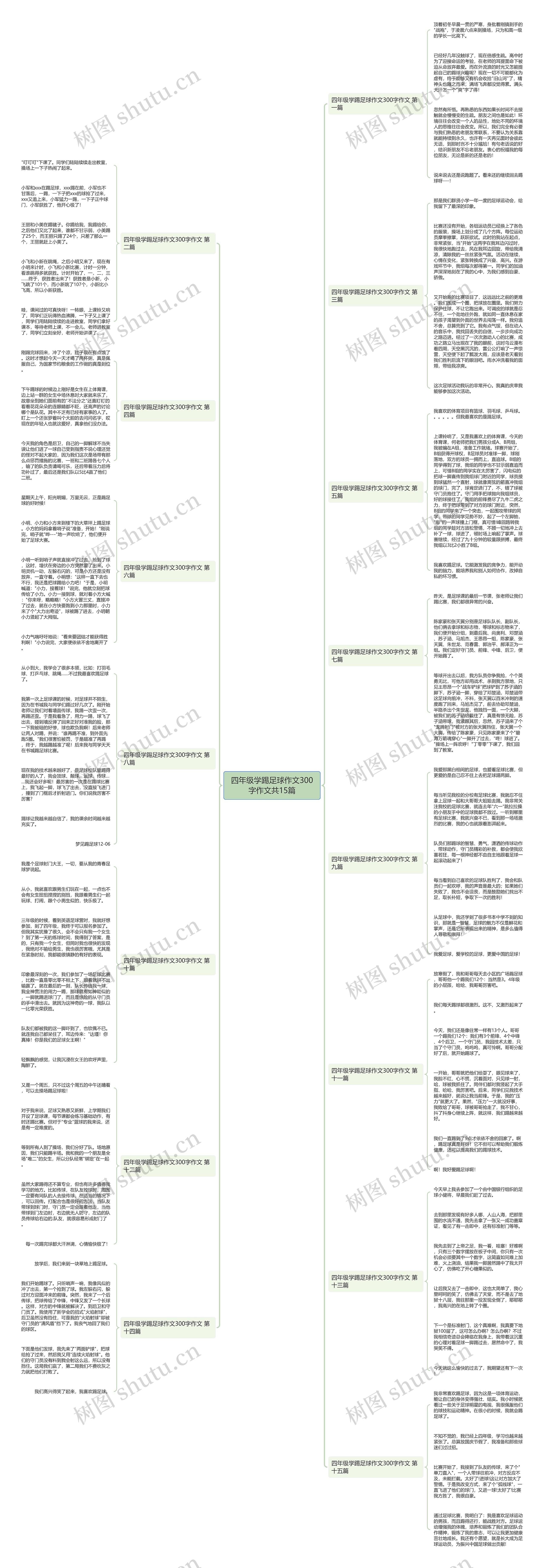 四年级学踢足球作文300字作文共15篇思维导图