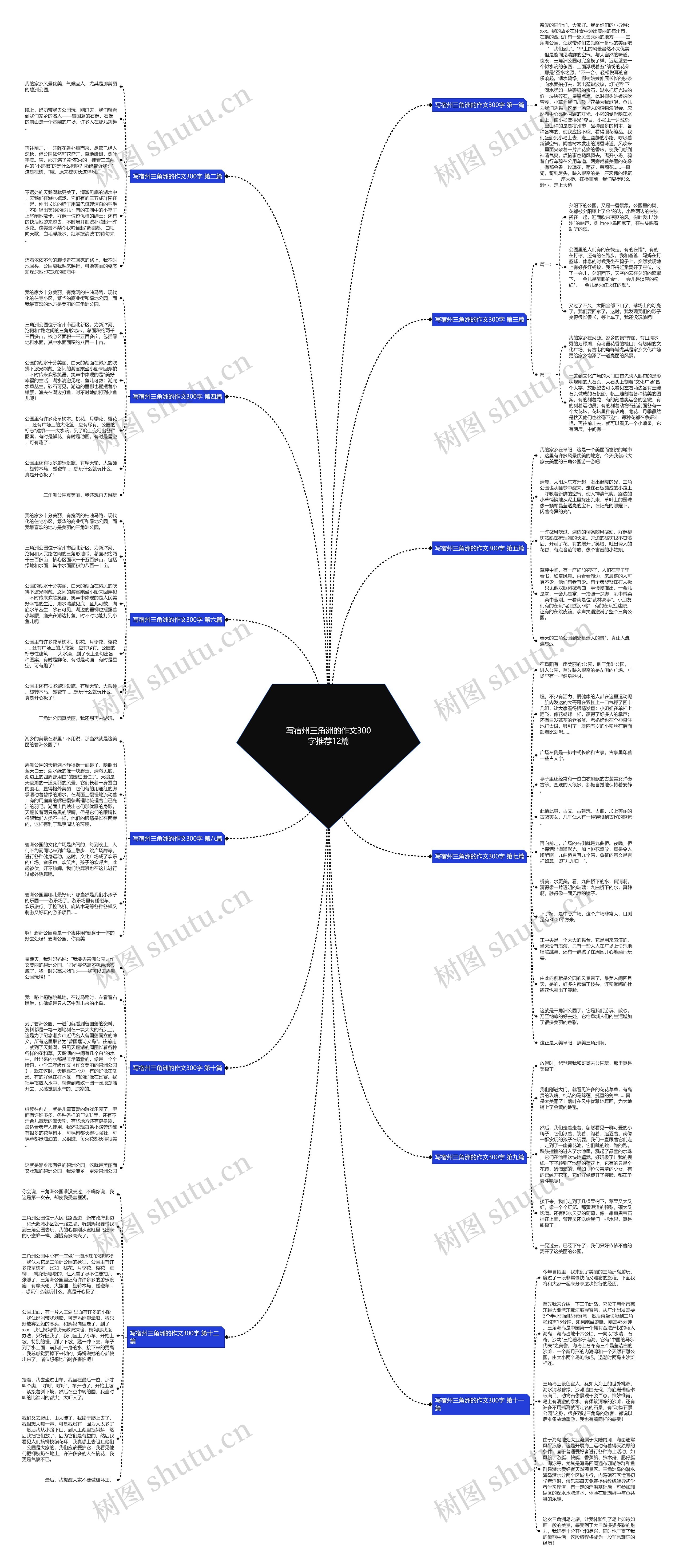写宿州三角洲的作文300字推荐12篇思维导图
