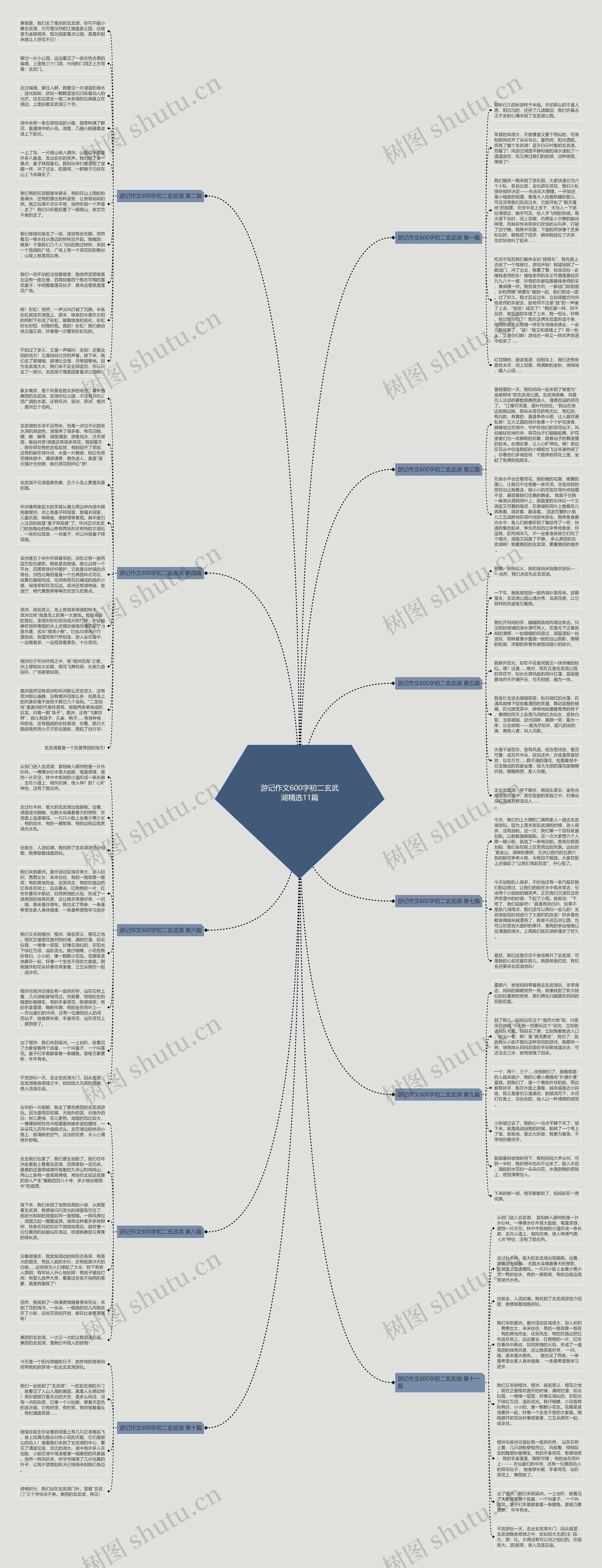 游记作文600字初二玄武湖精选11篇思维导图