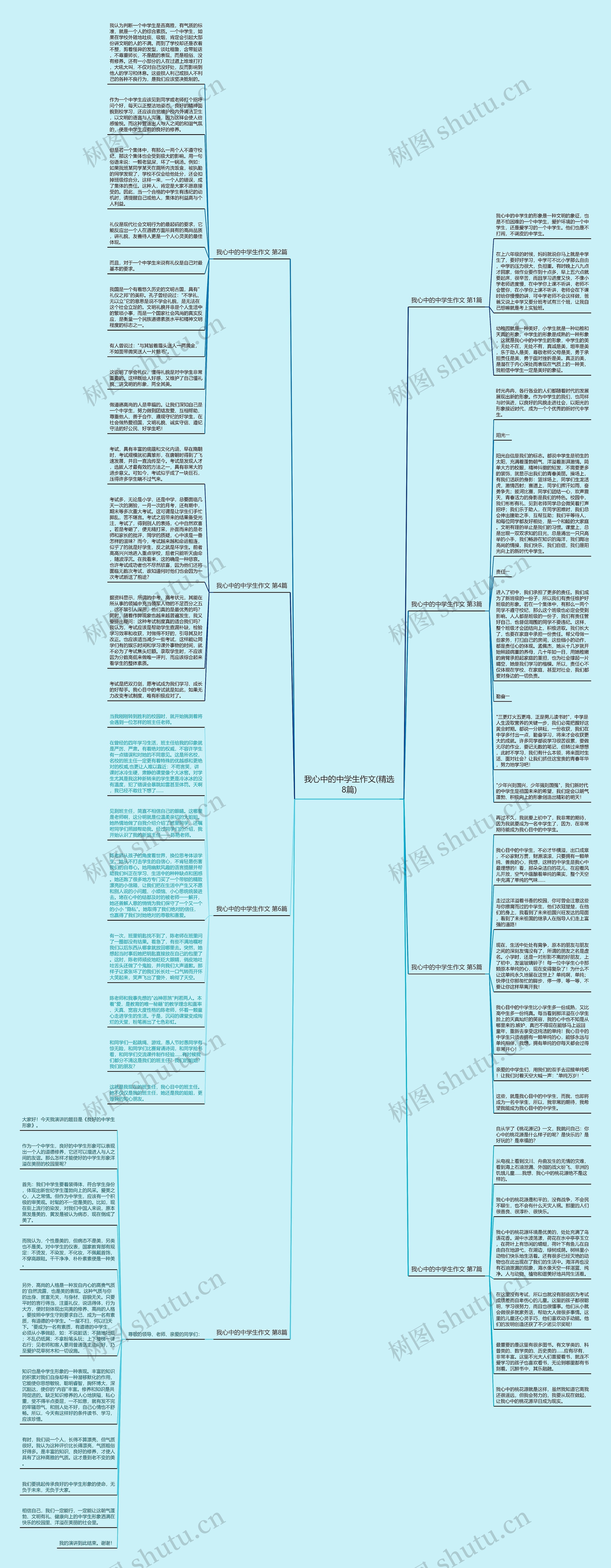 我心中的中学生作文(精选8篇)