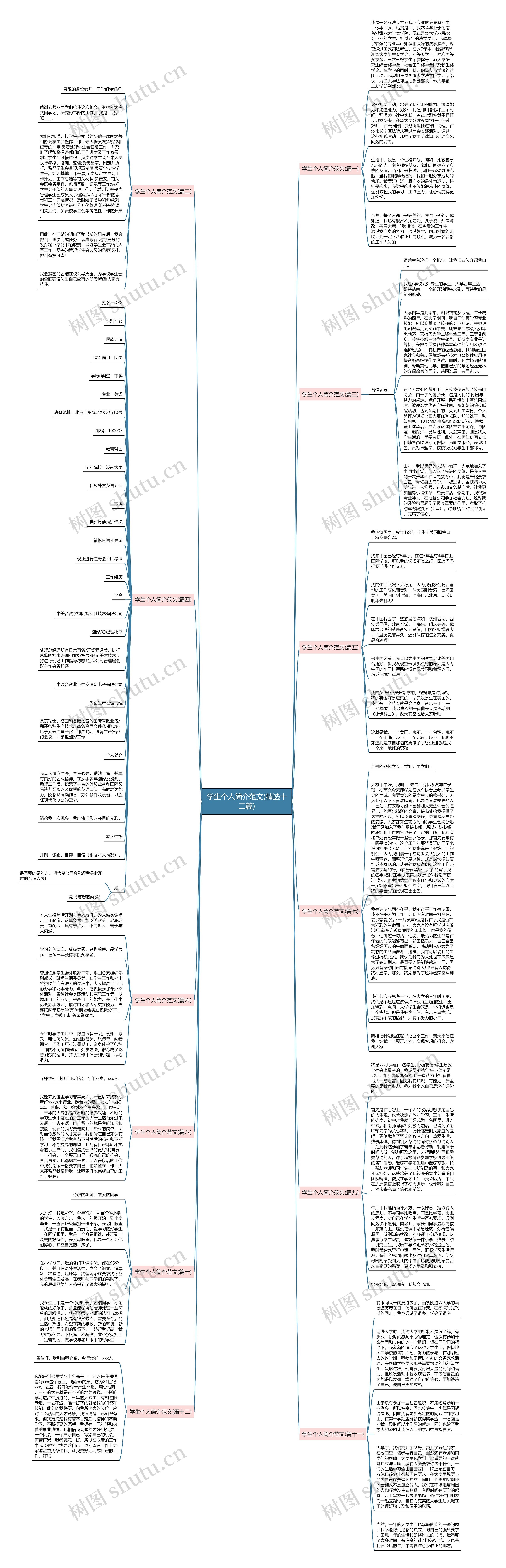 学生个人简介范文(精选十二篇)思维导图