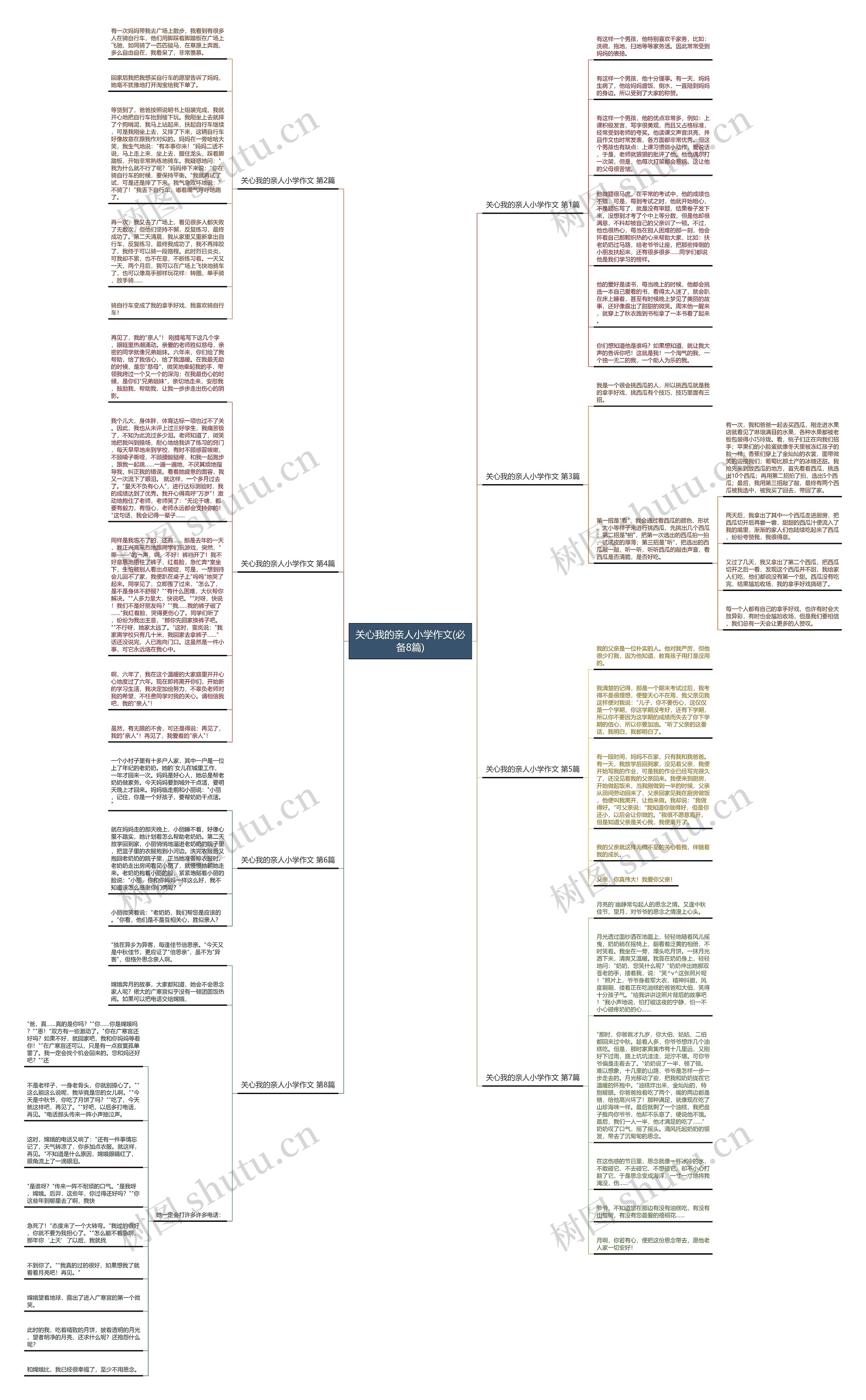 关心我的亲人小学作文(必备8篇)思维导图