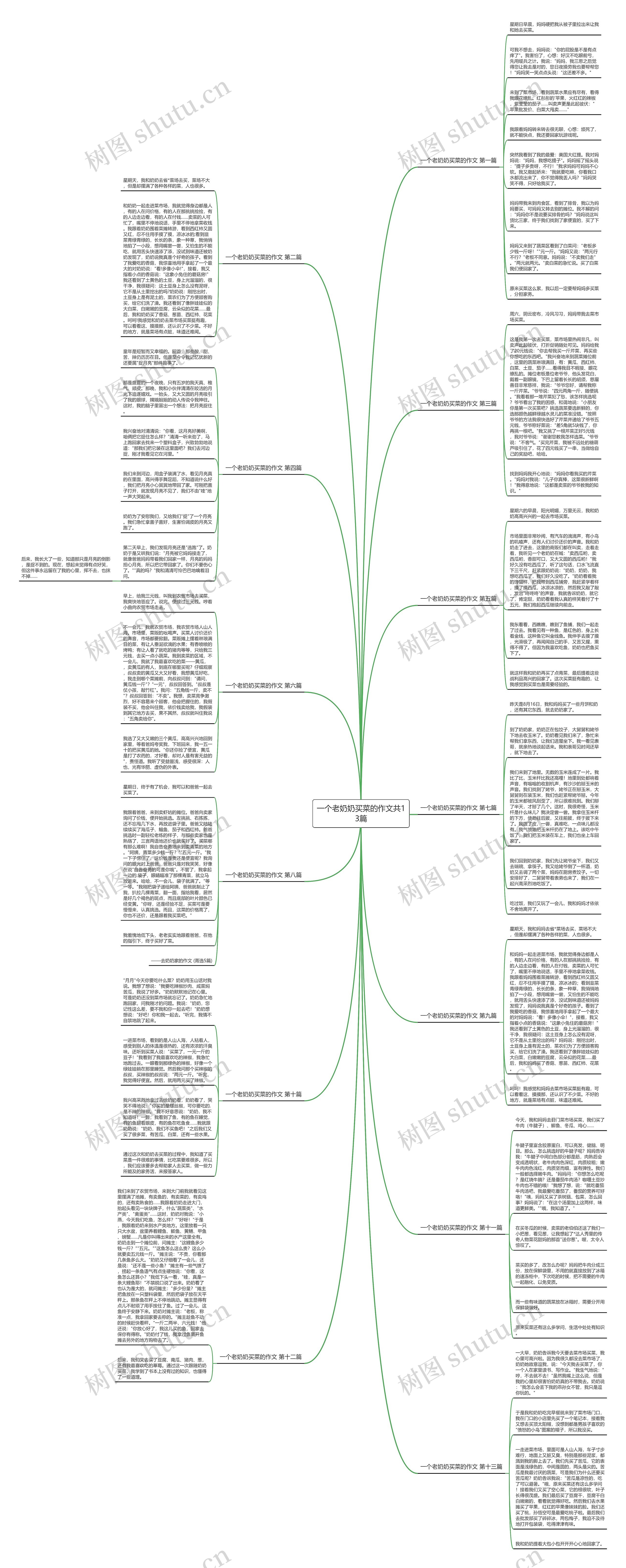 一个老奶奶买菜的作文共13篇思维导图