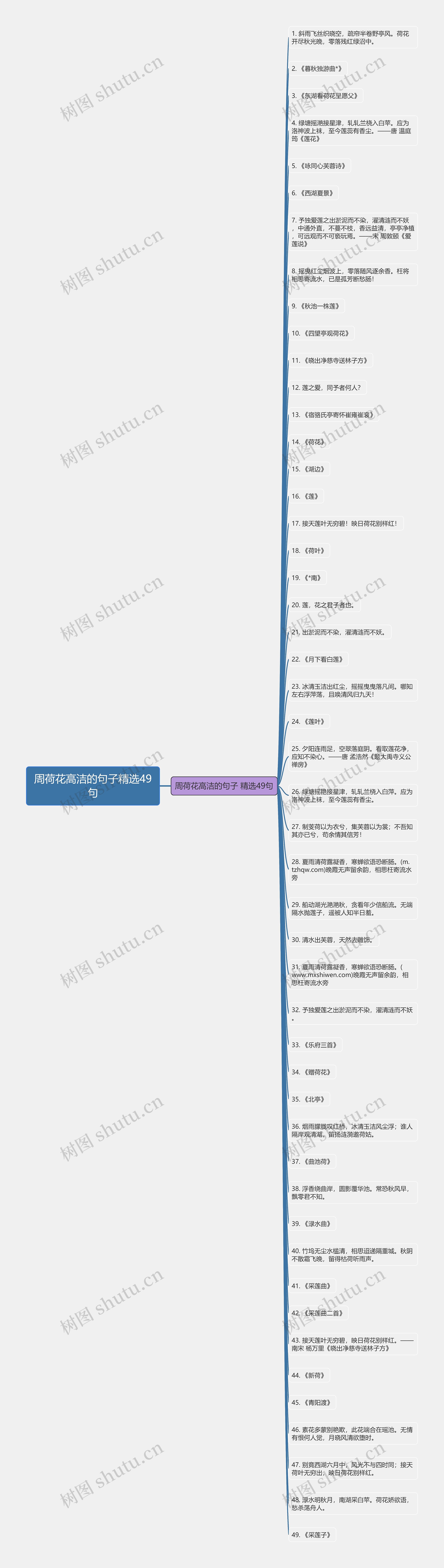 周荷花高洁的句子精选49句思维导图