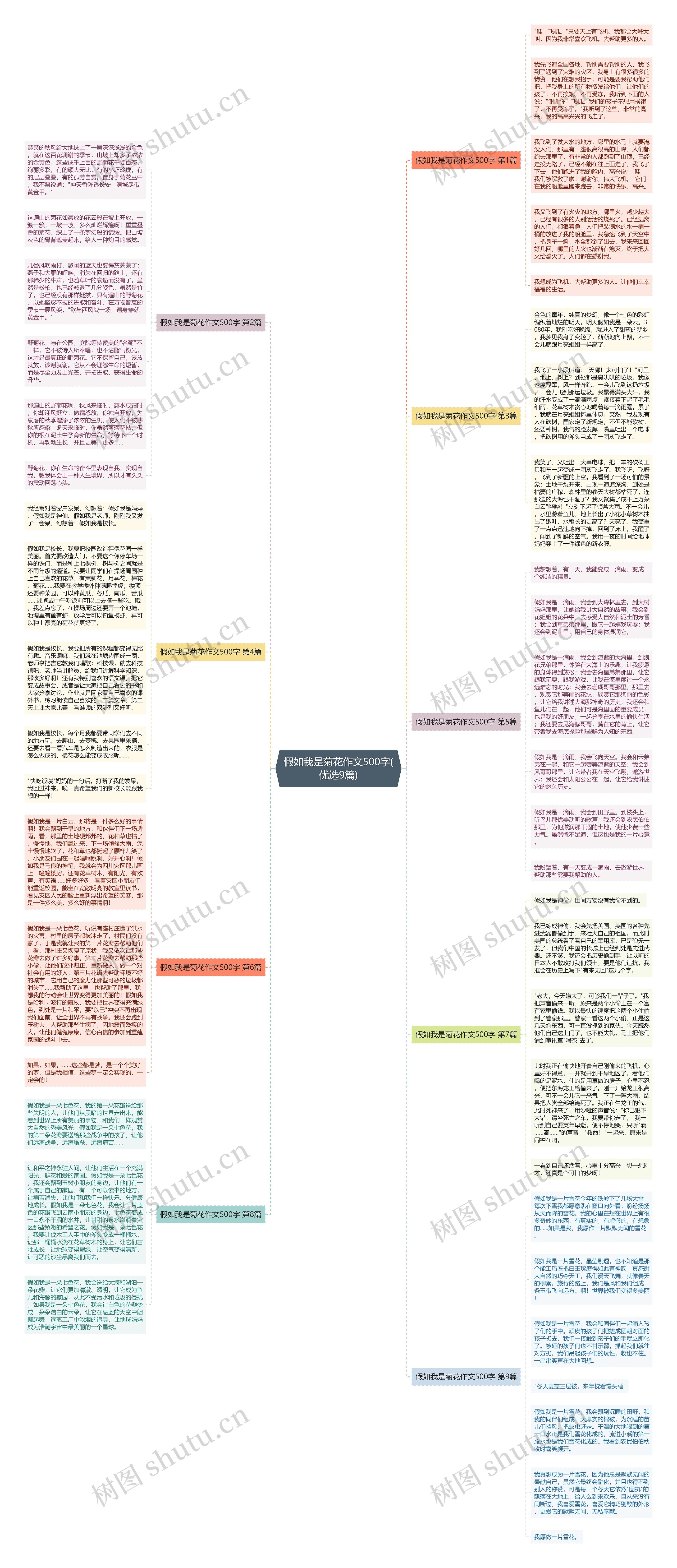 假如我是菊花作文500字(优选9篇)思维导图