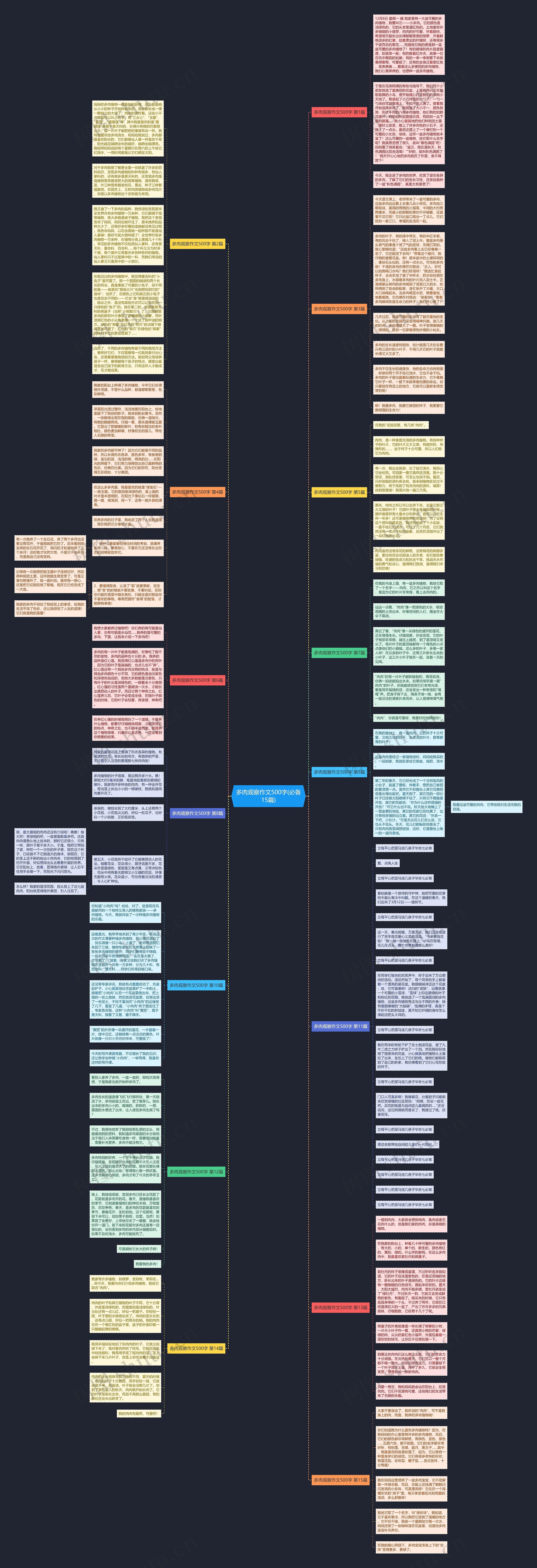 多肉观察作文500字(必备15篇)思维导图