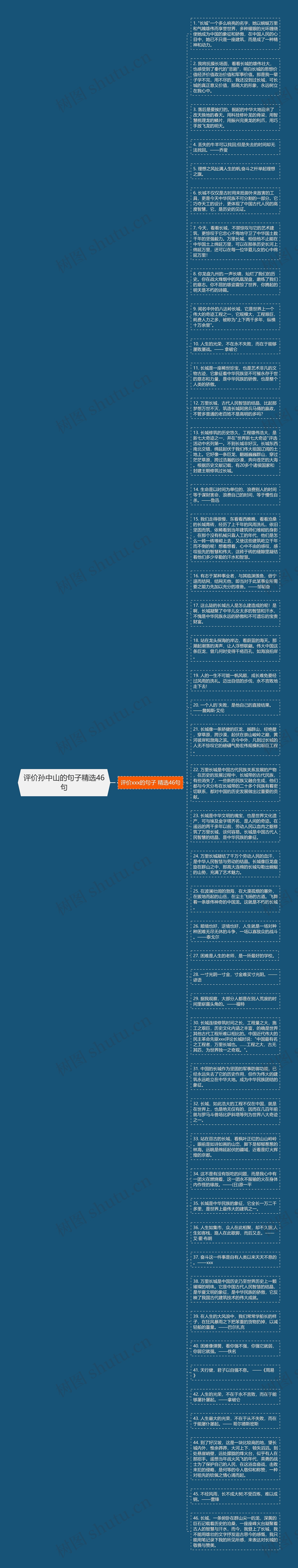 评价孙中山的句子精选46句思维导图