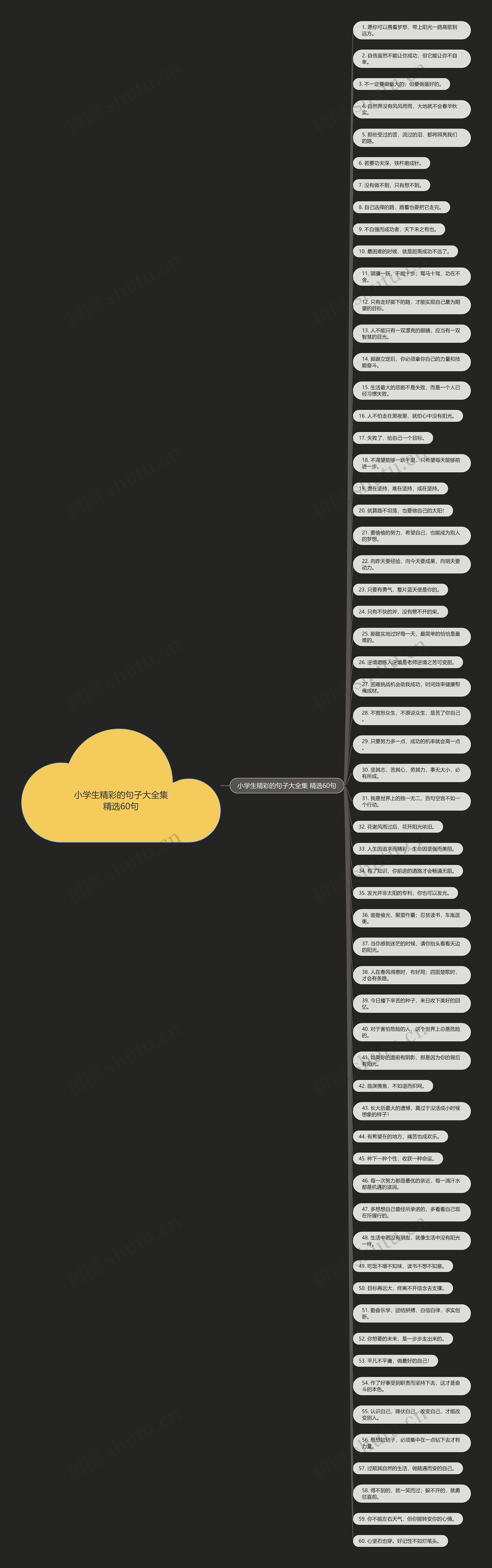 小学生精彩的句子大全集精选60句 小学生精彩的句子大全集精选60句