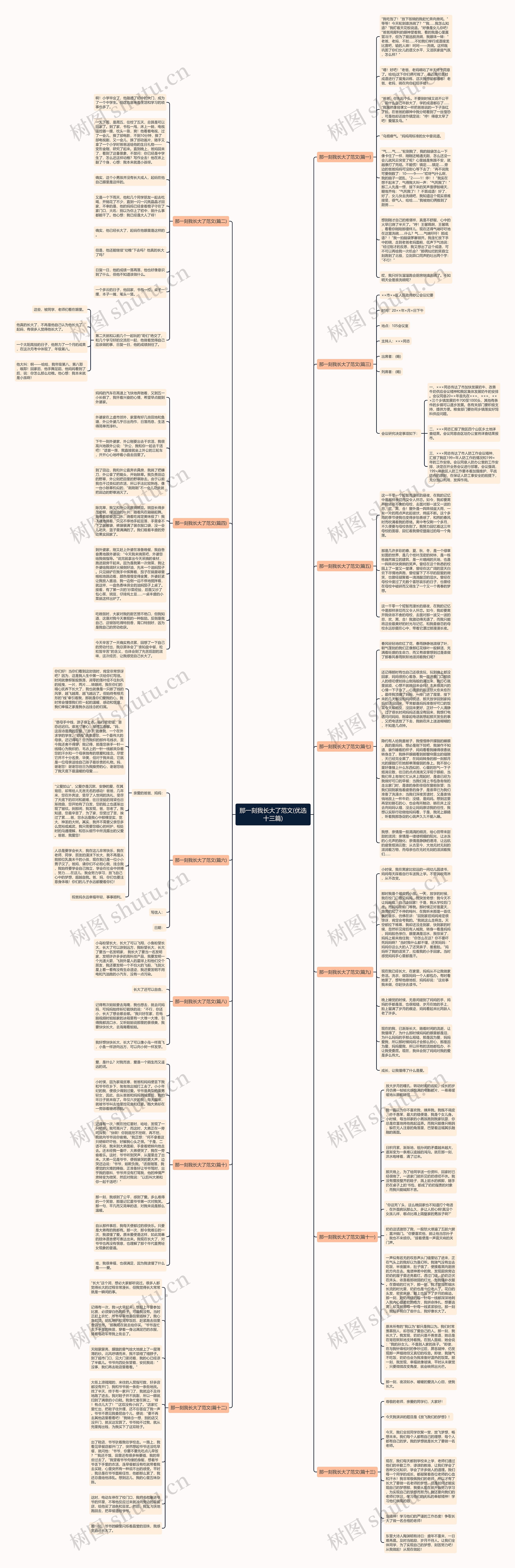 那一刻我长大了范文(优选十三篇)思维导图