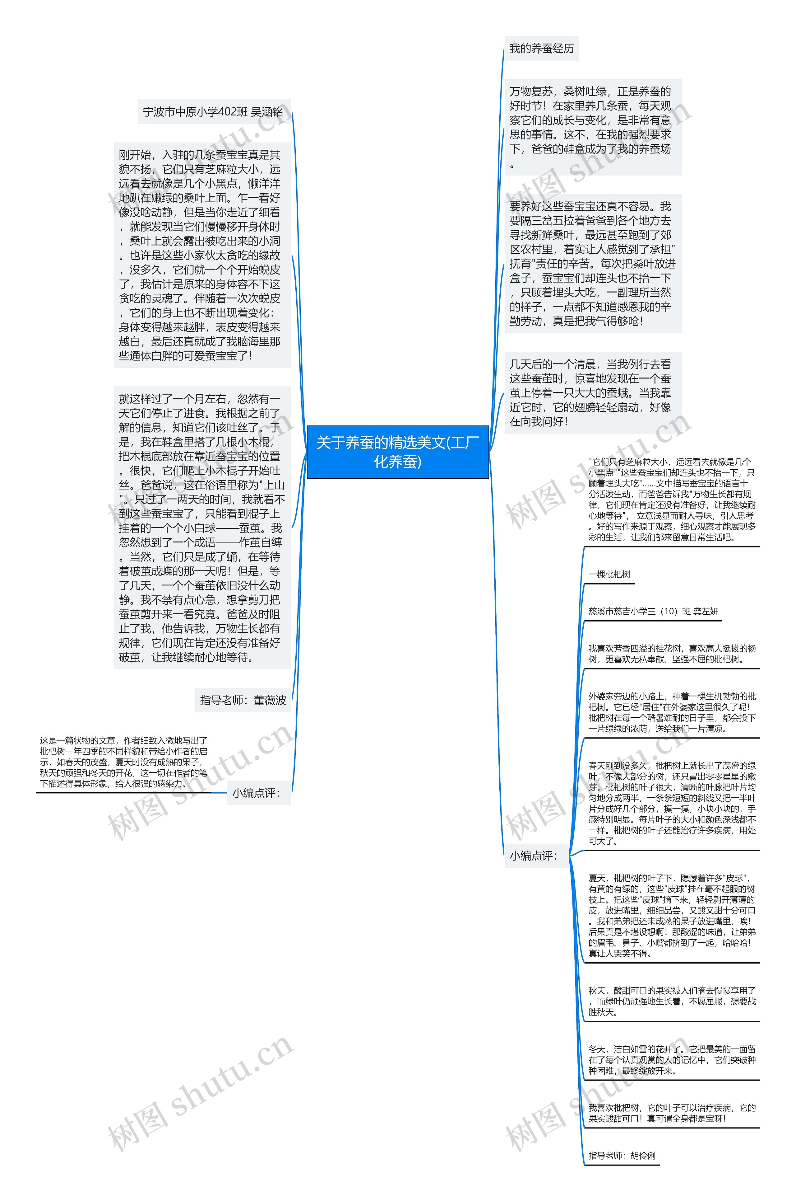 关于养蚕的精选美文(工厂化养蚕)思维导图