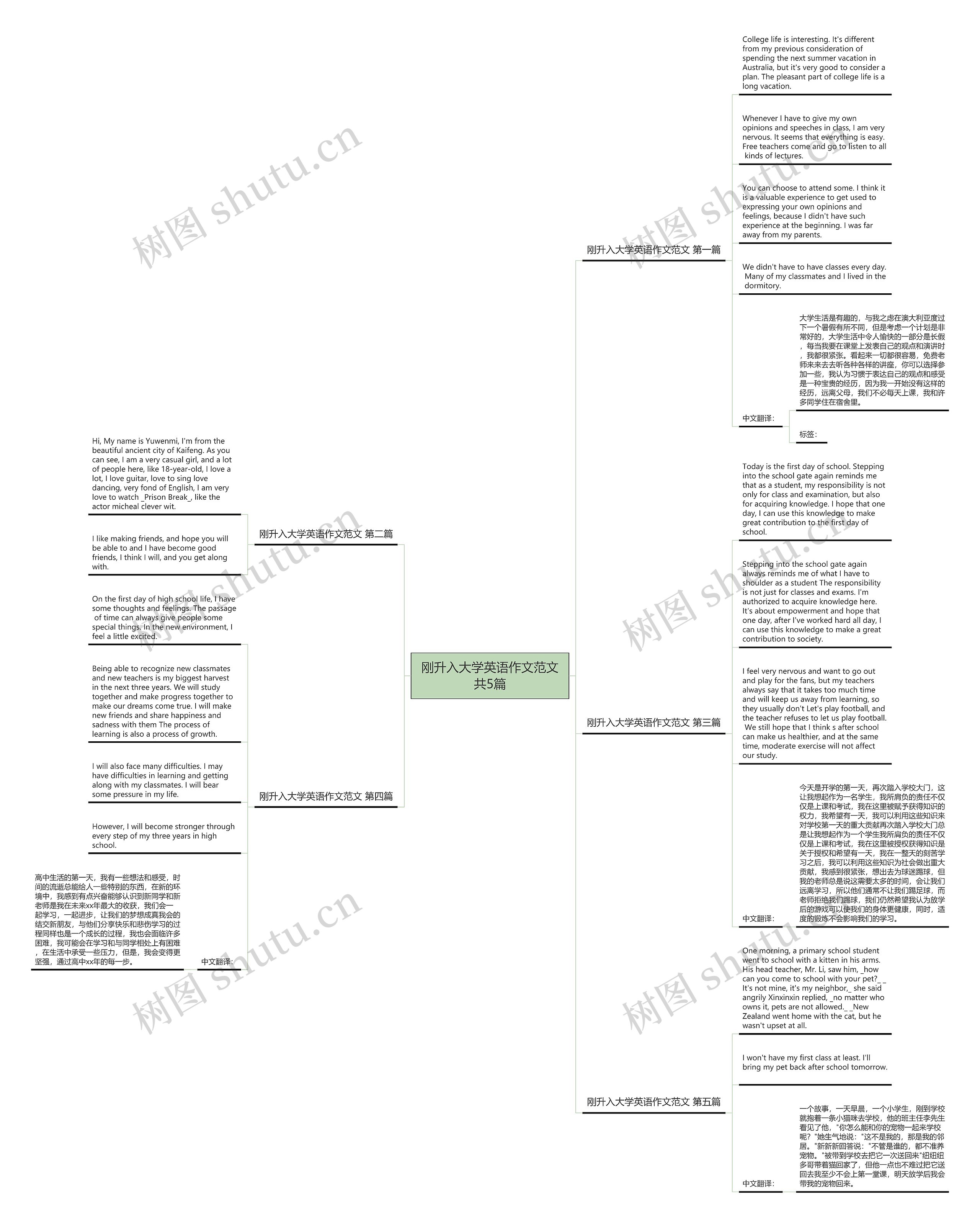 刚升入大学英语作文范文共5篇