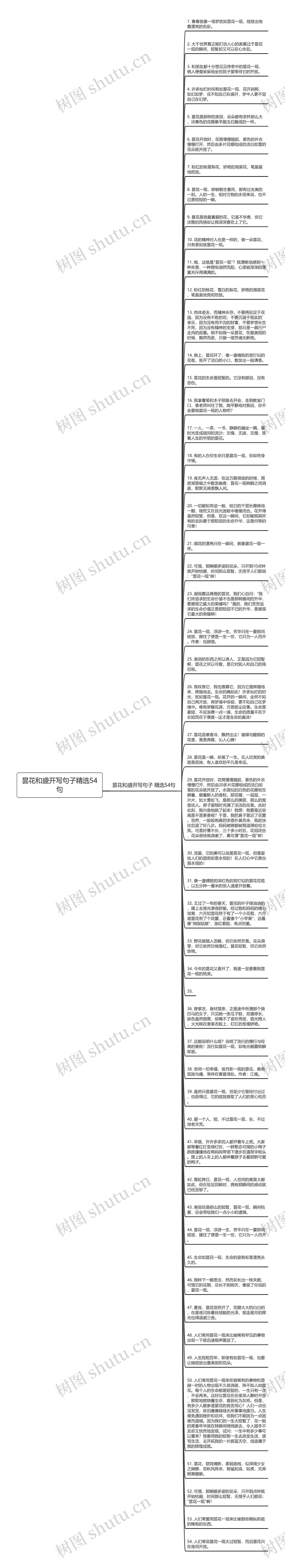 昙花和盛开写句子精选54句思维导图