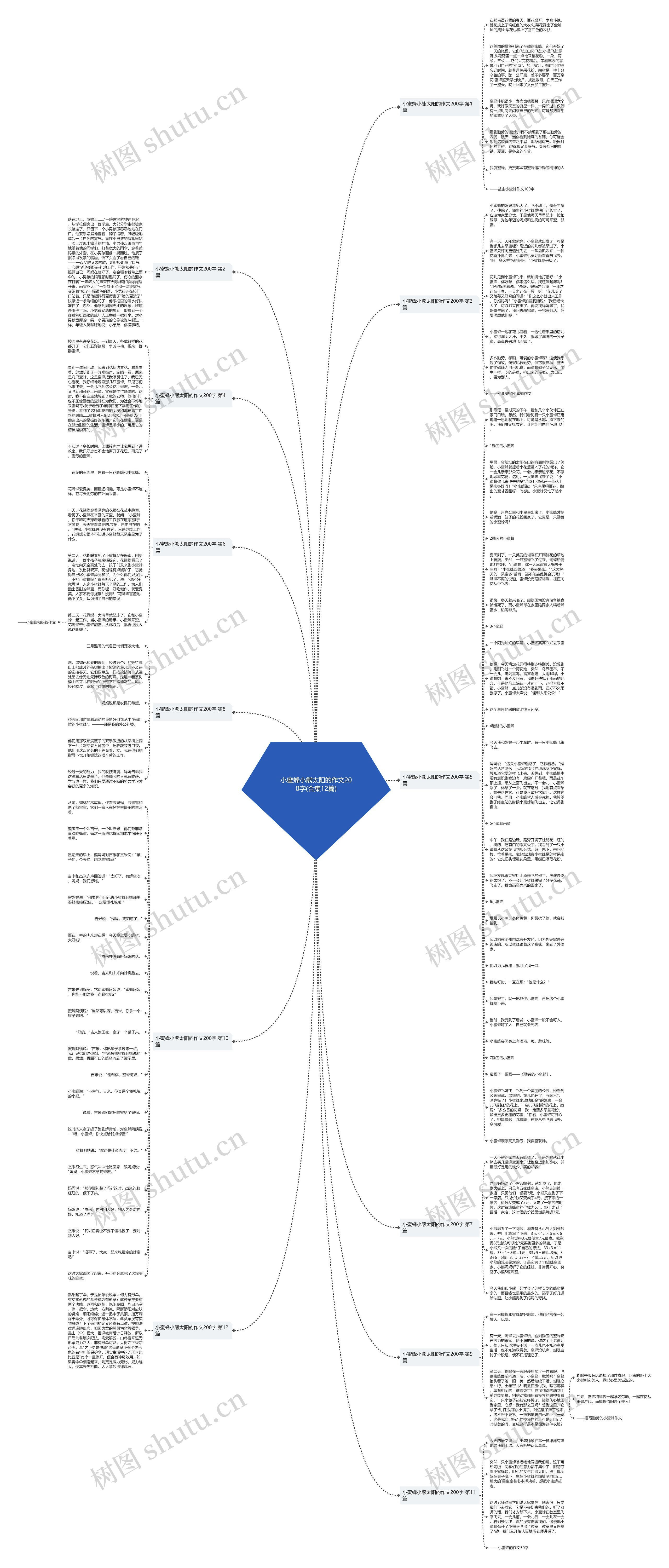 小蜜蜂小熊太阳的作文200字(合集12篇)思维导图