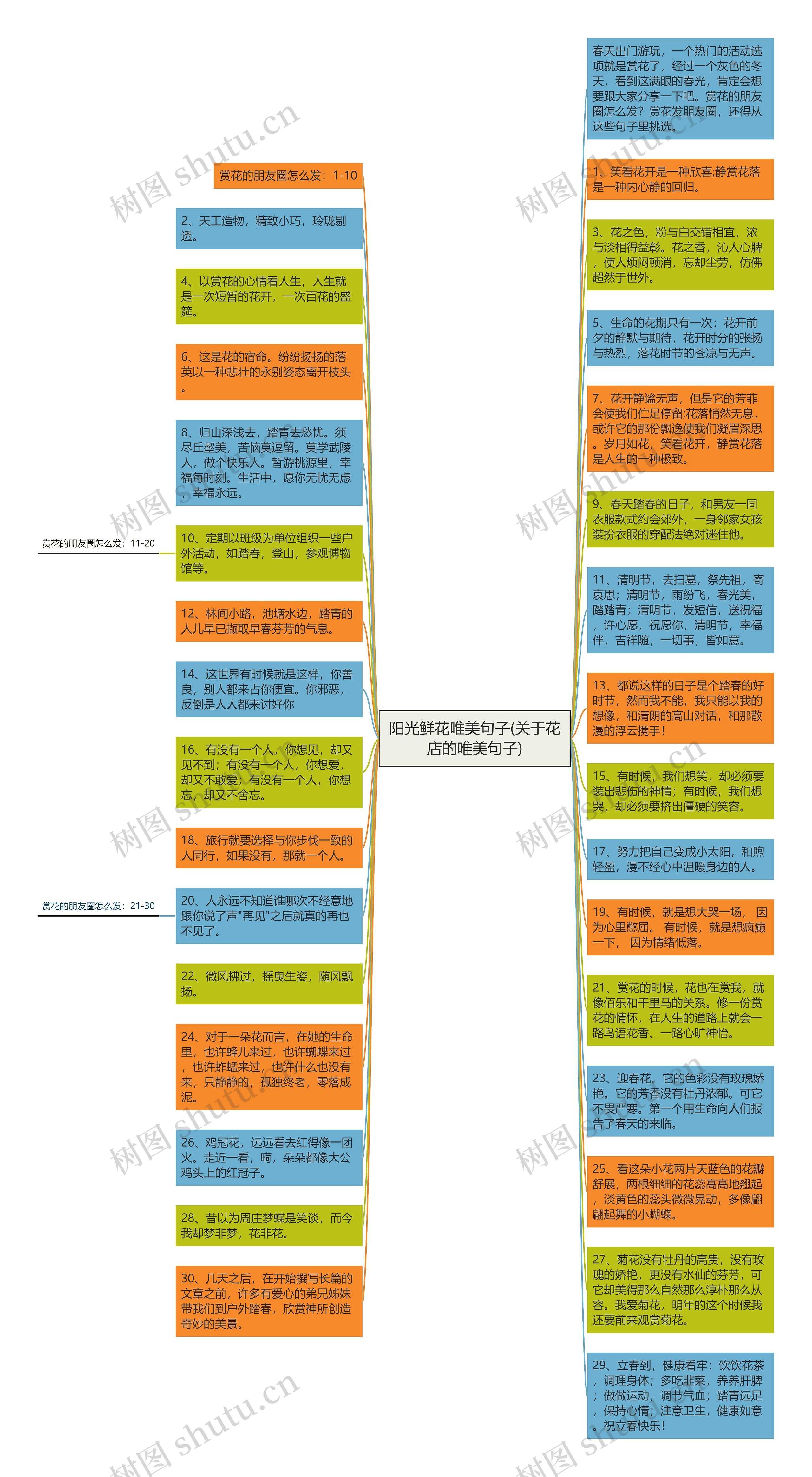 阳光鲜花唯美句子(关于花店的唯美句子)思维导图