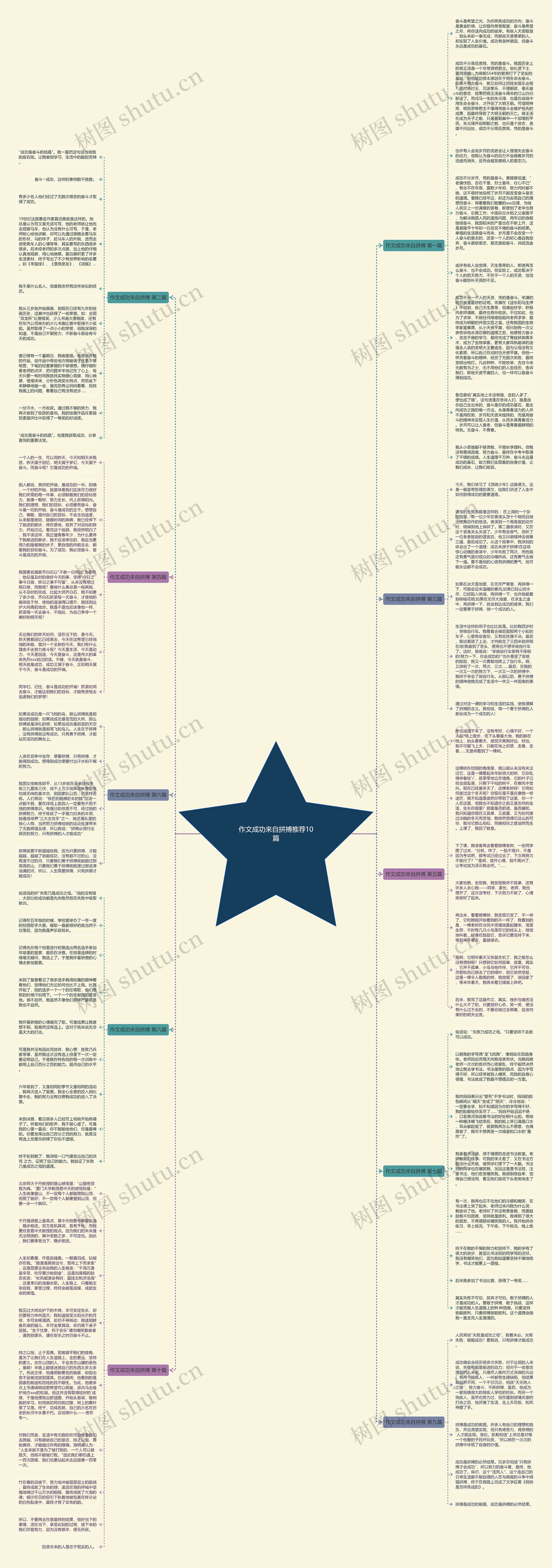 作文成功来自拼搏推荐10篇思维导图