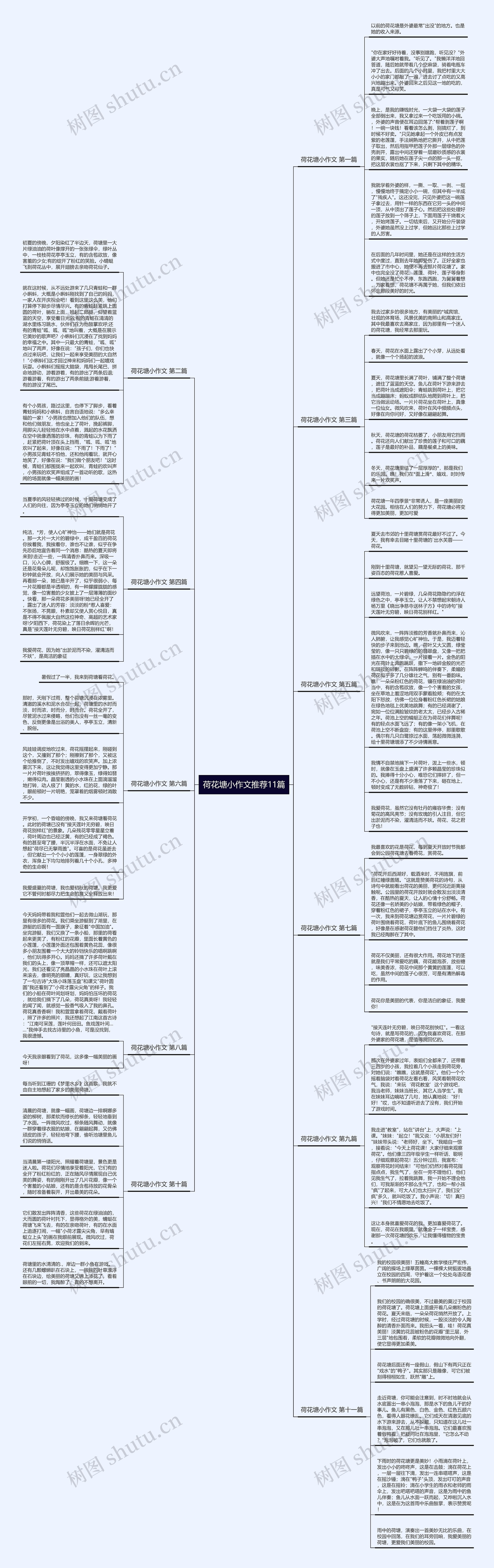 荷花塘小作文推荐11篇思维导图