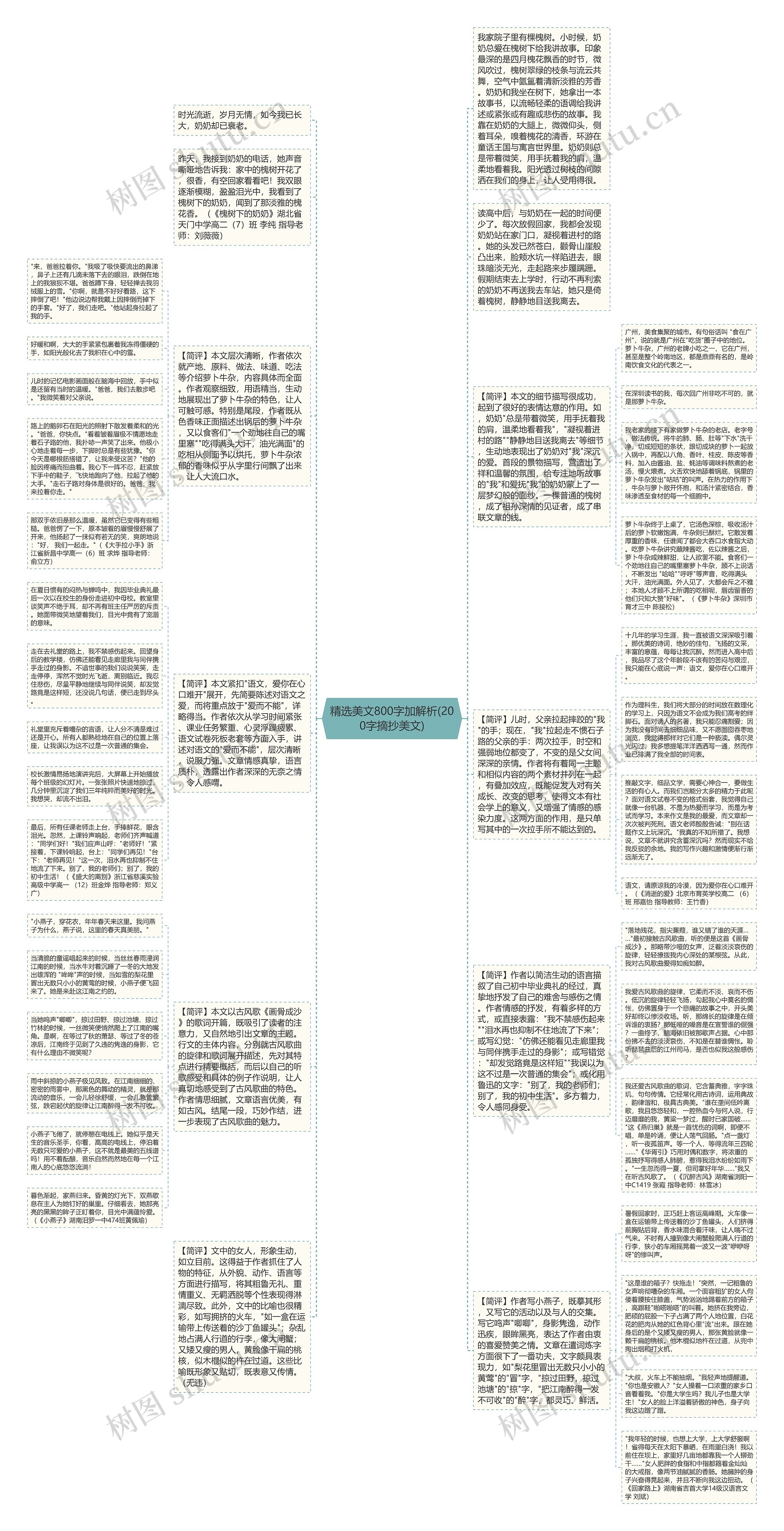 精选美文800字加解析(200字摘抄美文)思维导图