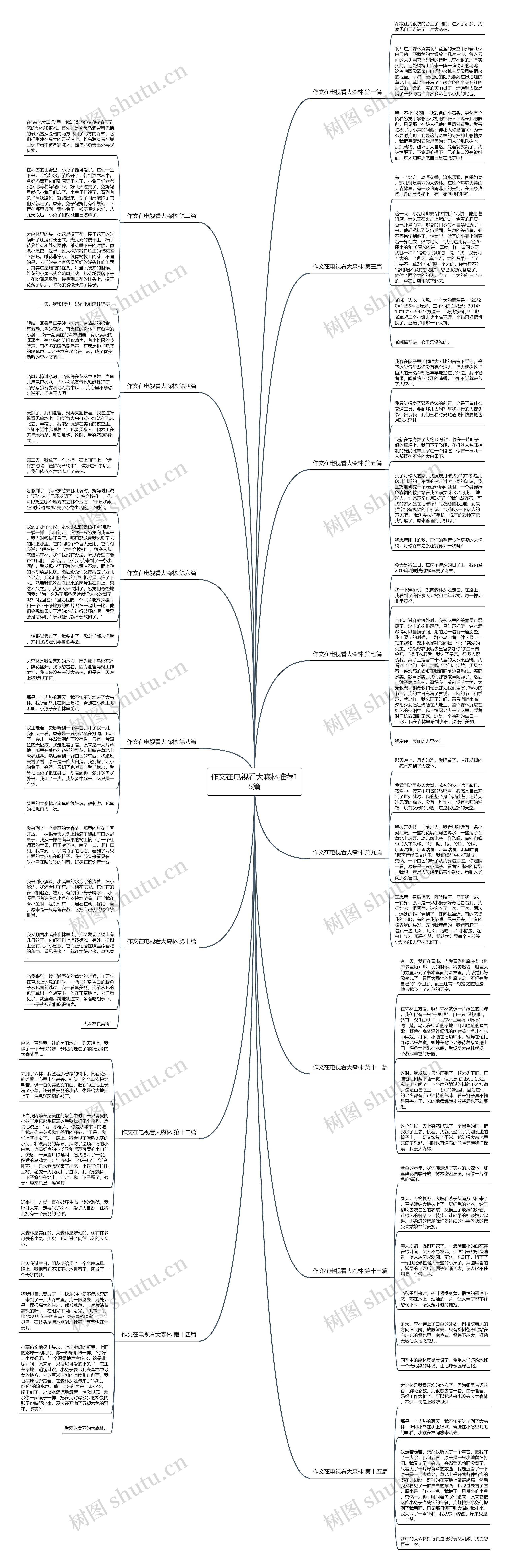 作文在电视看大森林推荐15篇思维导图