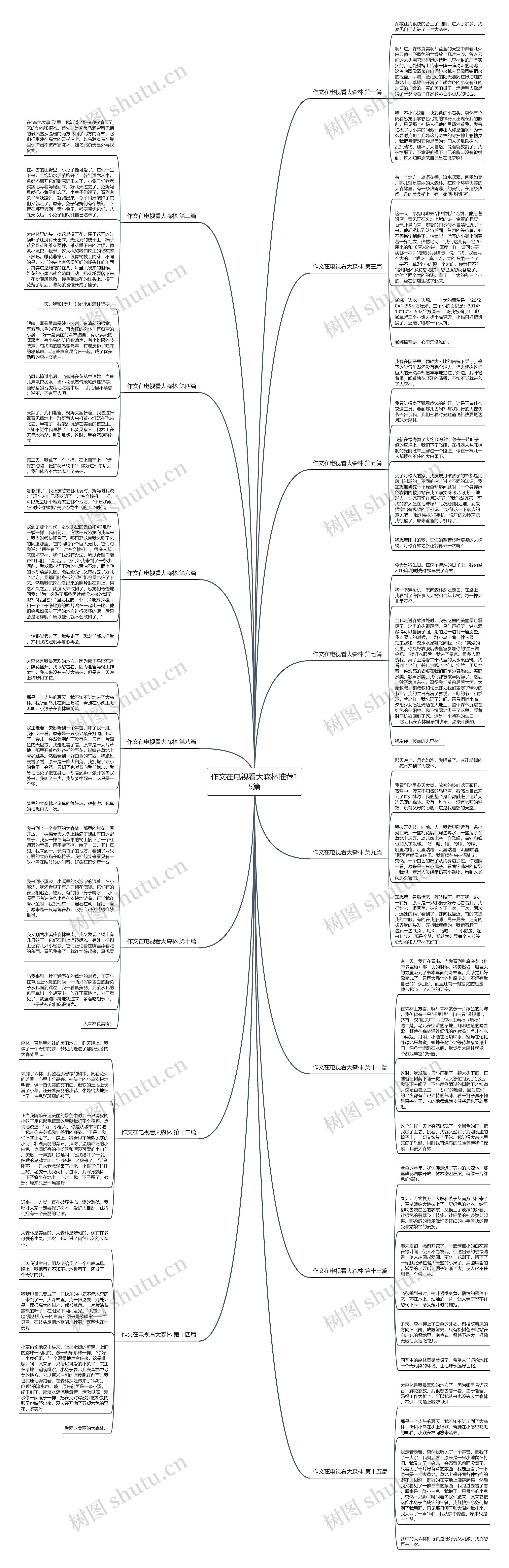 作文在电视看大森林推荐15篇 作文在电视看大森林推荐15篇
