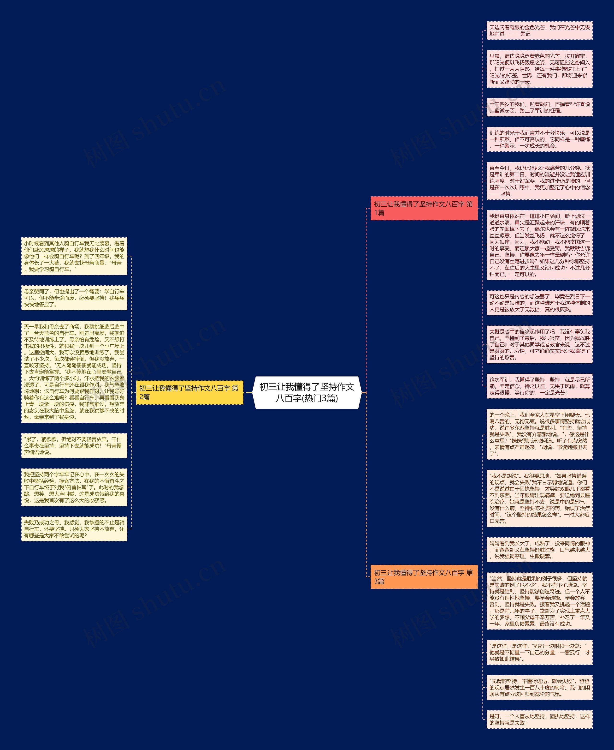 初三让我懂得了坚持作文八百字(热门3篇)思维导图