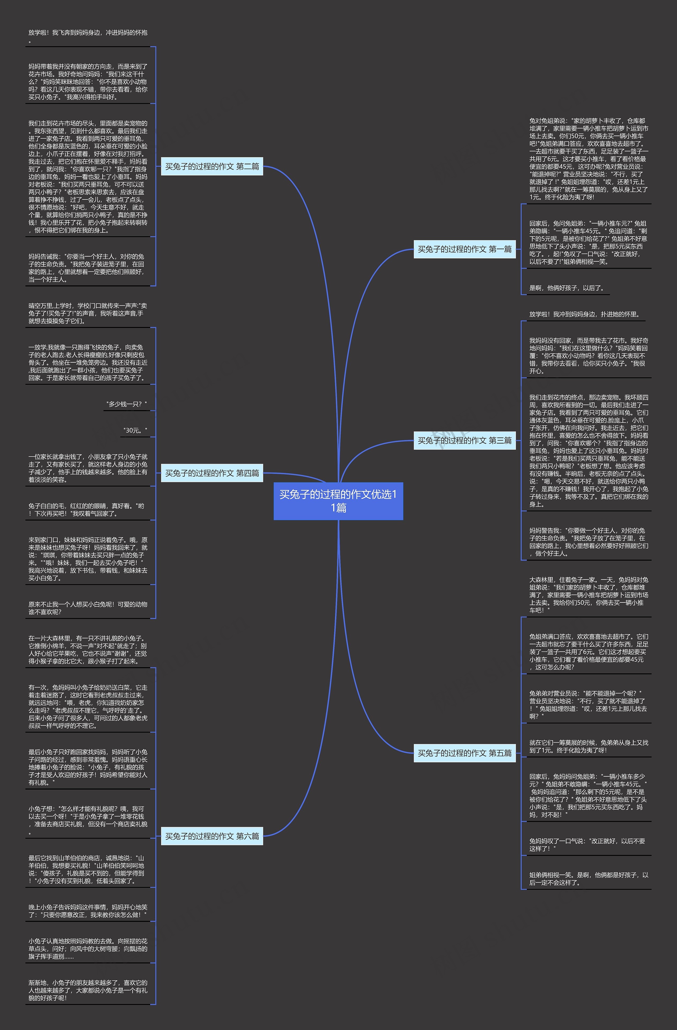 买兔子的过程的作文优选11篇思维导图