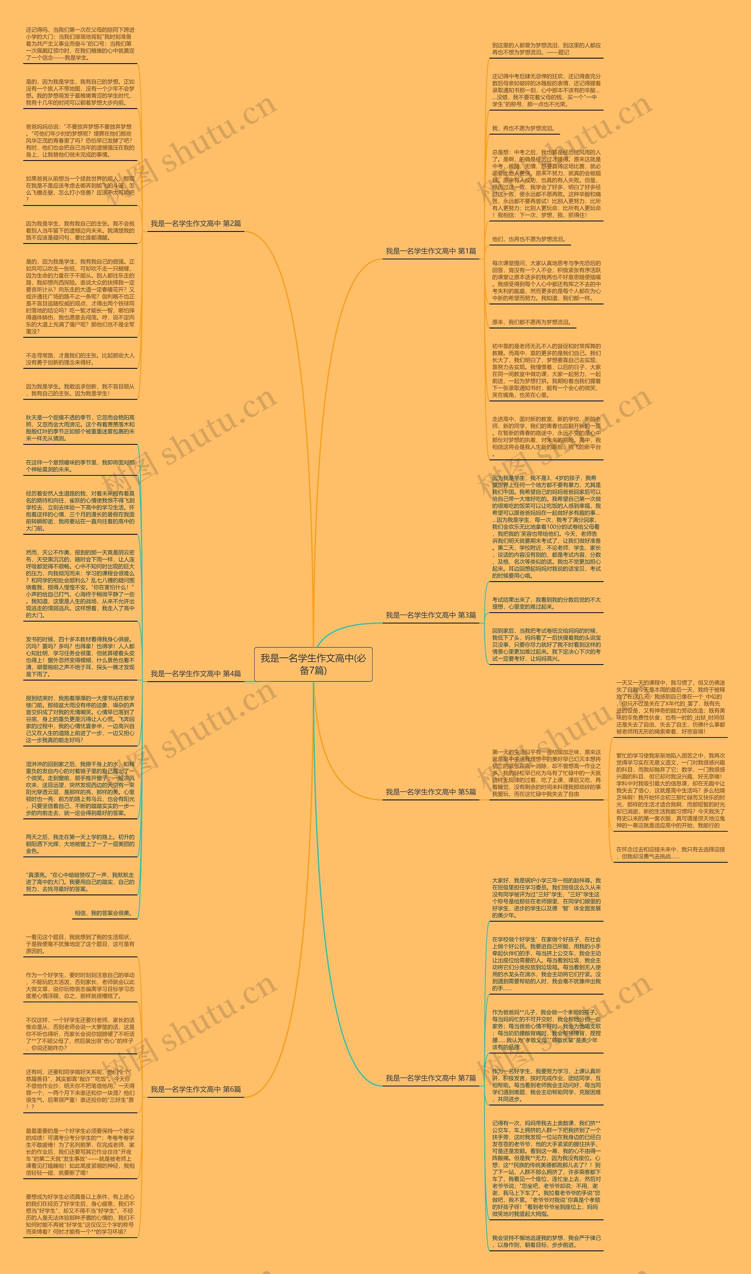 我是一名学生作文高中(必备7篇)思维导图