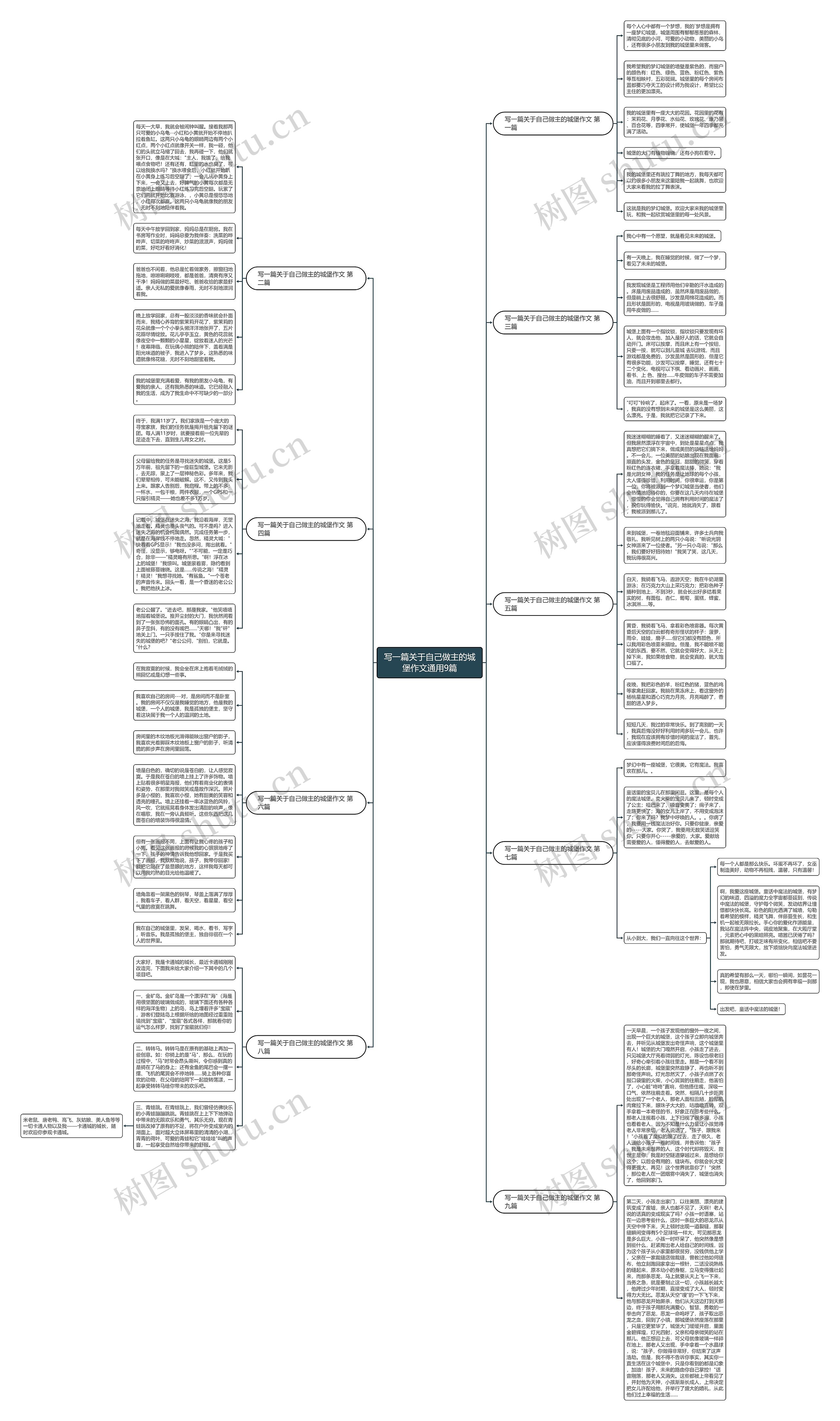 写一篇关于自己做主的城堡作文通用9篇思维导图