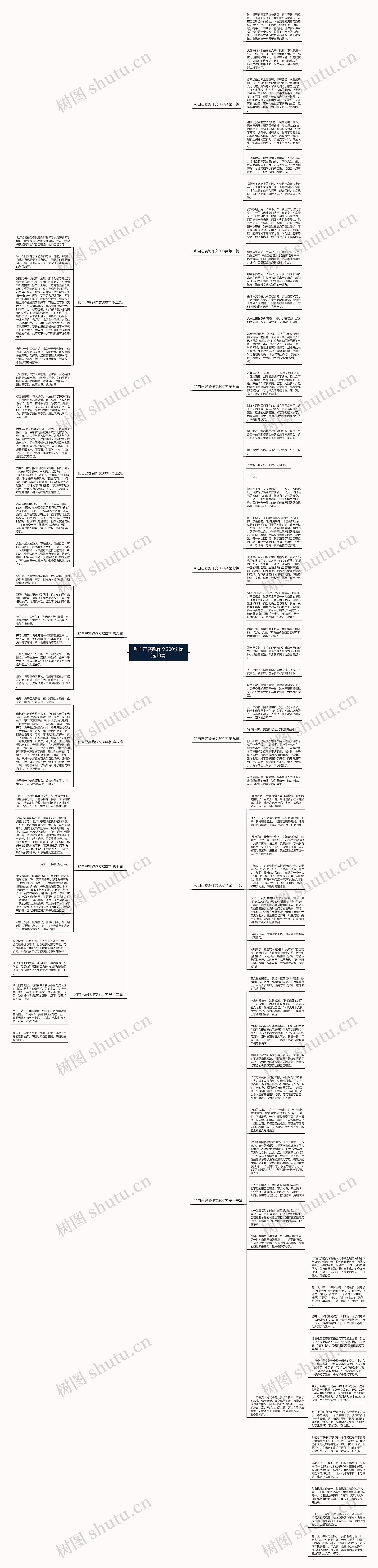 和自己赛跑作文300字优选13篇思维导图