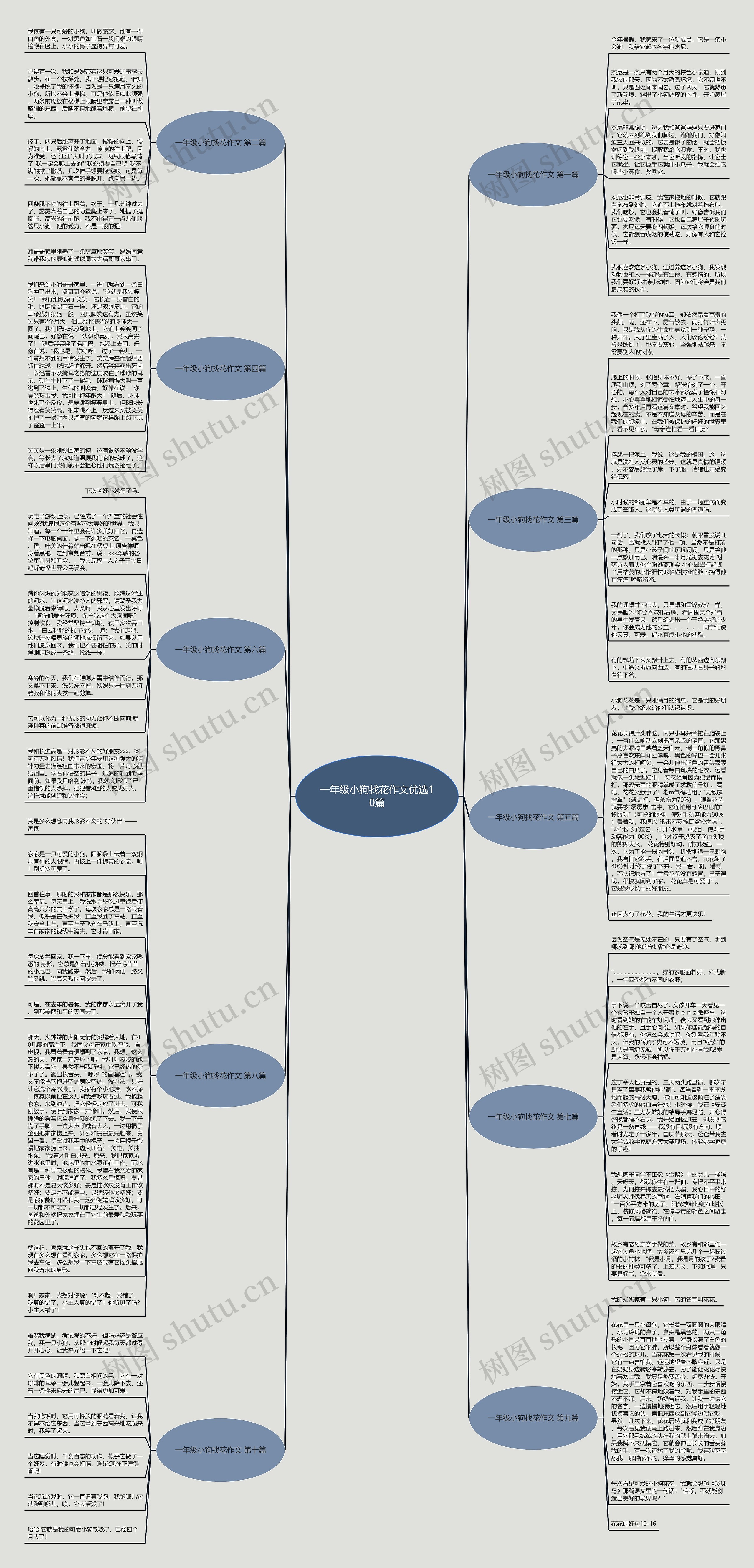 一年级小狗找花作文优选10篇