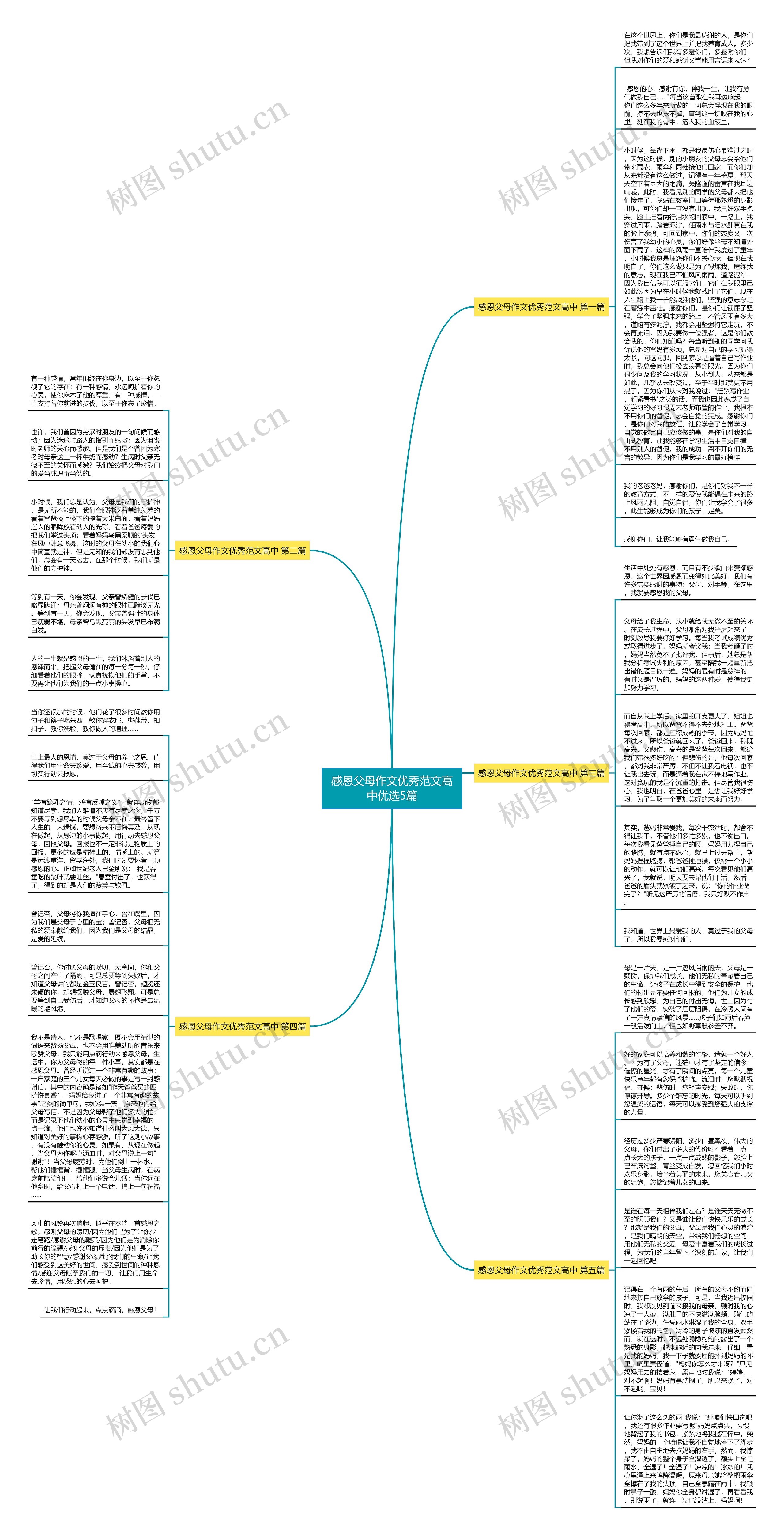 感恩父母作文优秀范文高中优选5篇思维导图