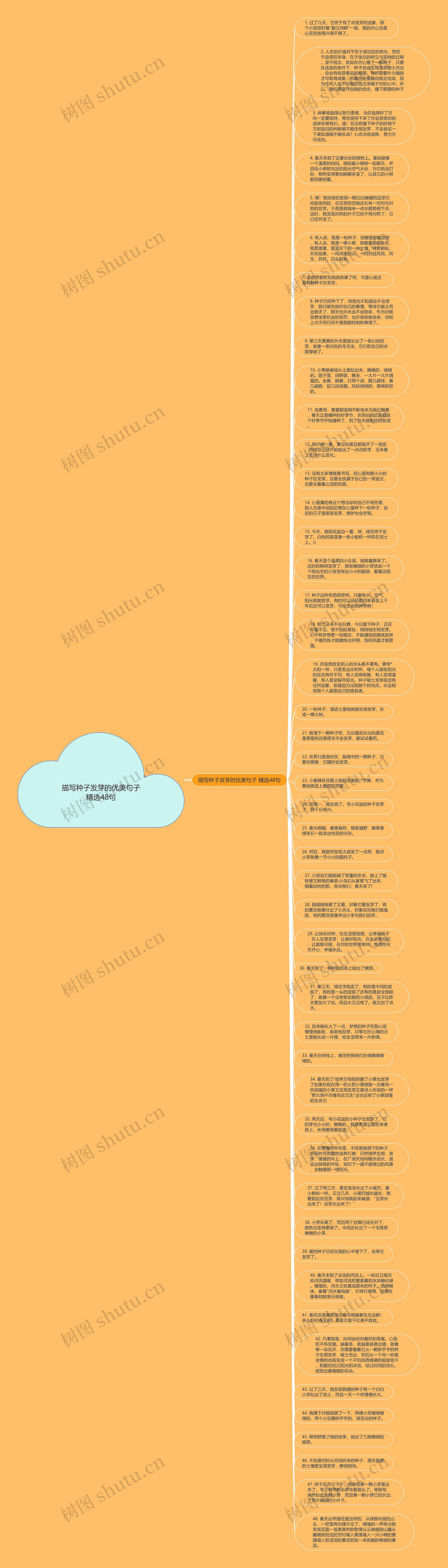 描写种子发芽的优美句子精选48句思维导图