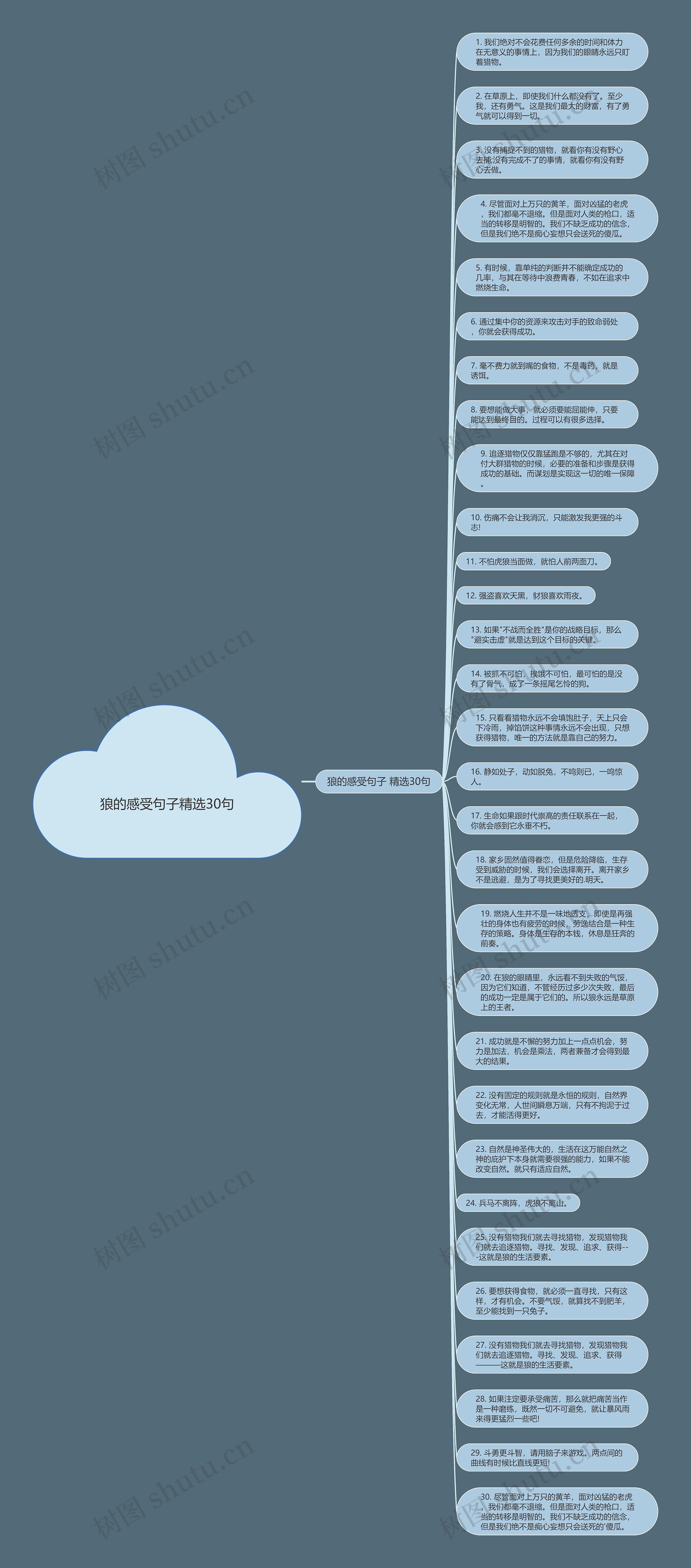 狼的感受句子精选30句思维导图