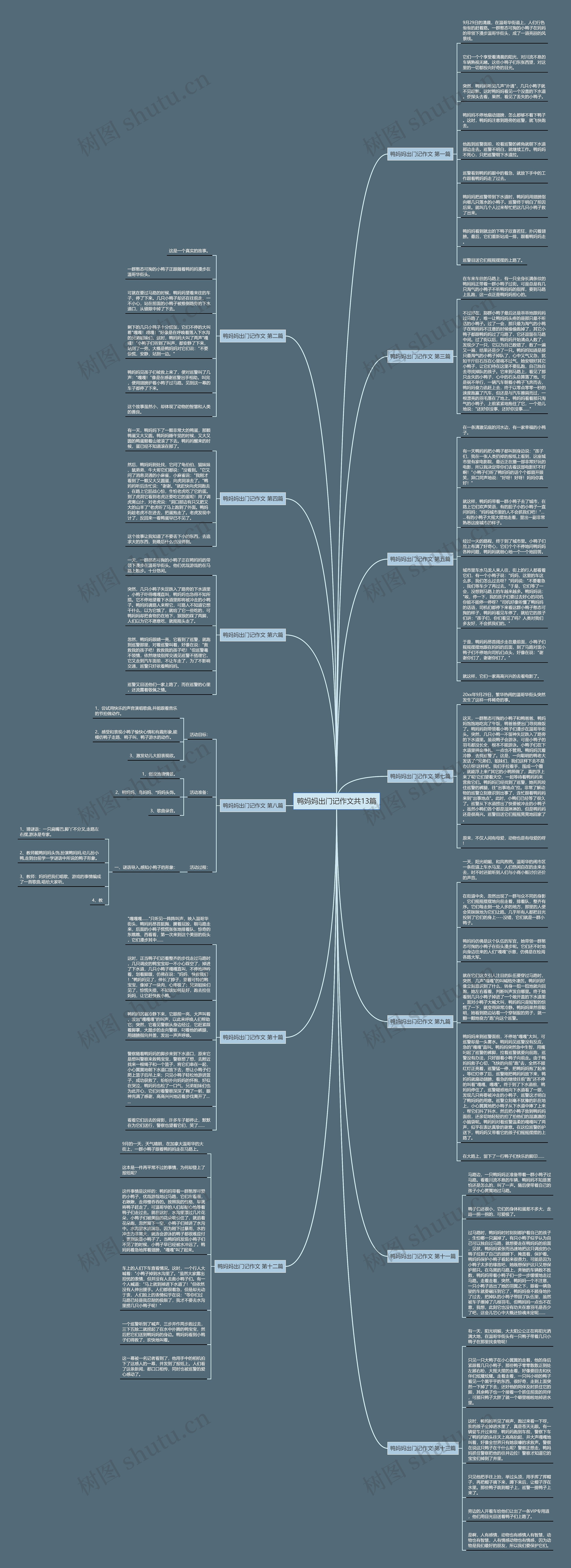 鸭妈妈出门记作文共13篇 鸭妈妈出门记作文共13篇