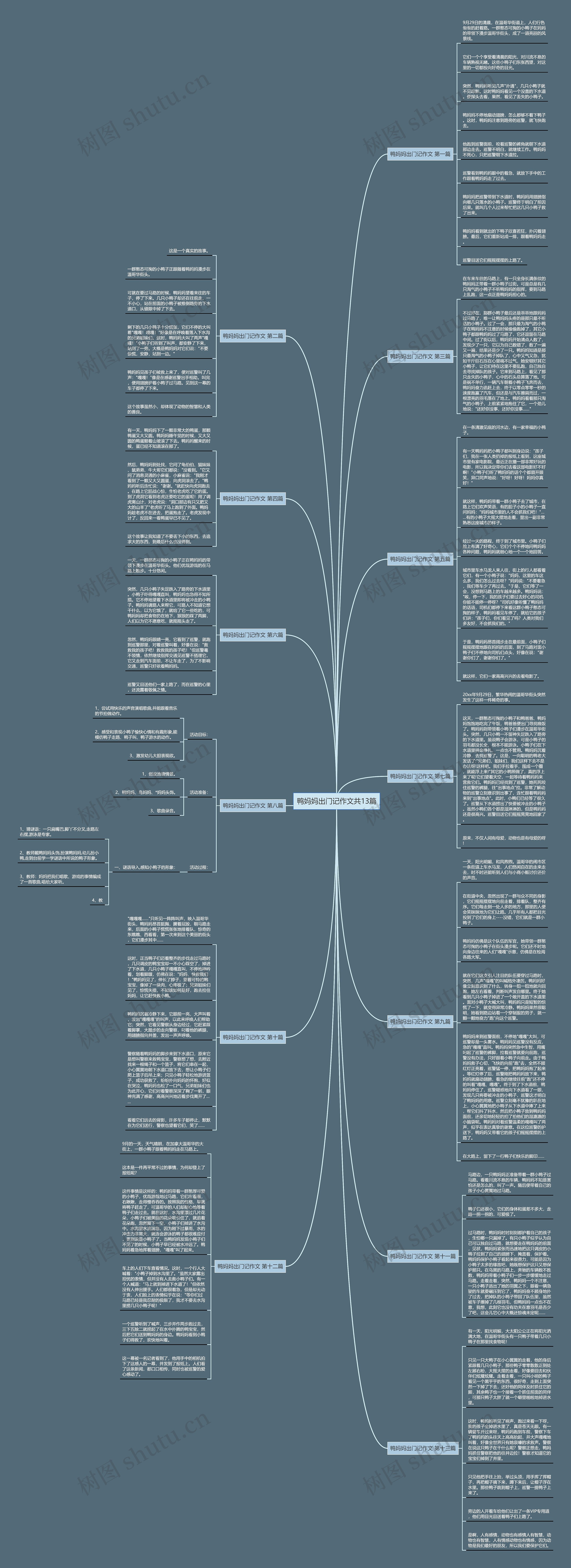 鸭妈妈出门记作文共13篇思维导图