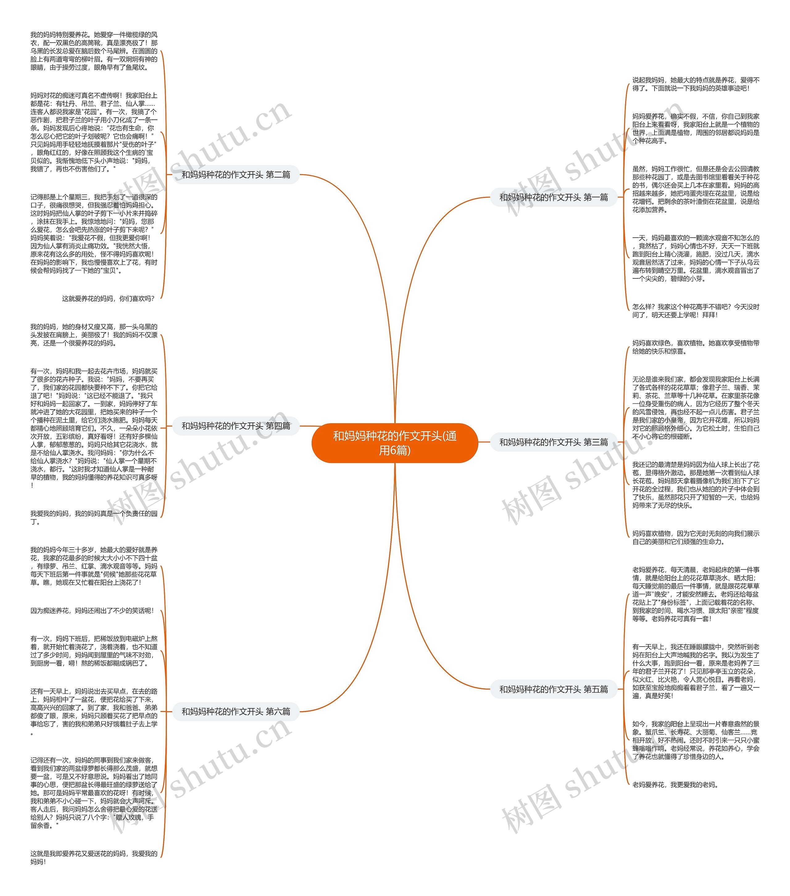 和妈妈种花的作文开头(通用6篇)思维导图