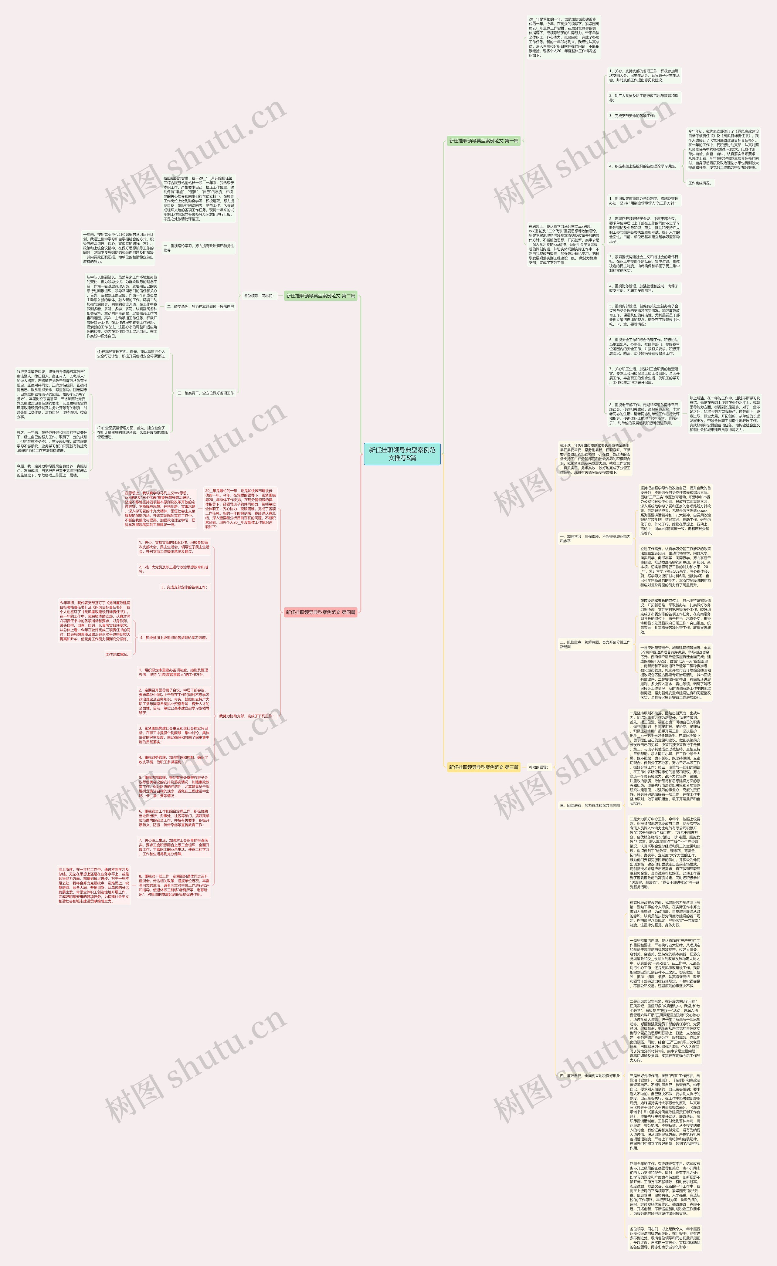 新任挂职领导典型案例范文推荐5篇思维导图
