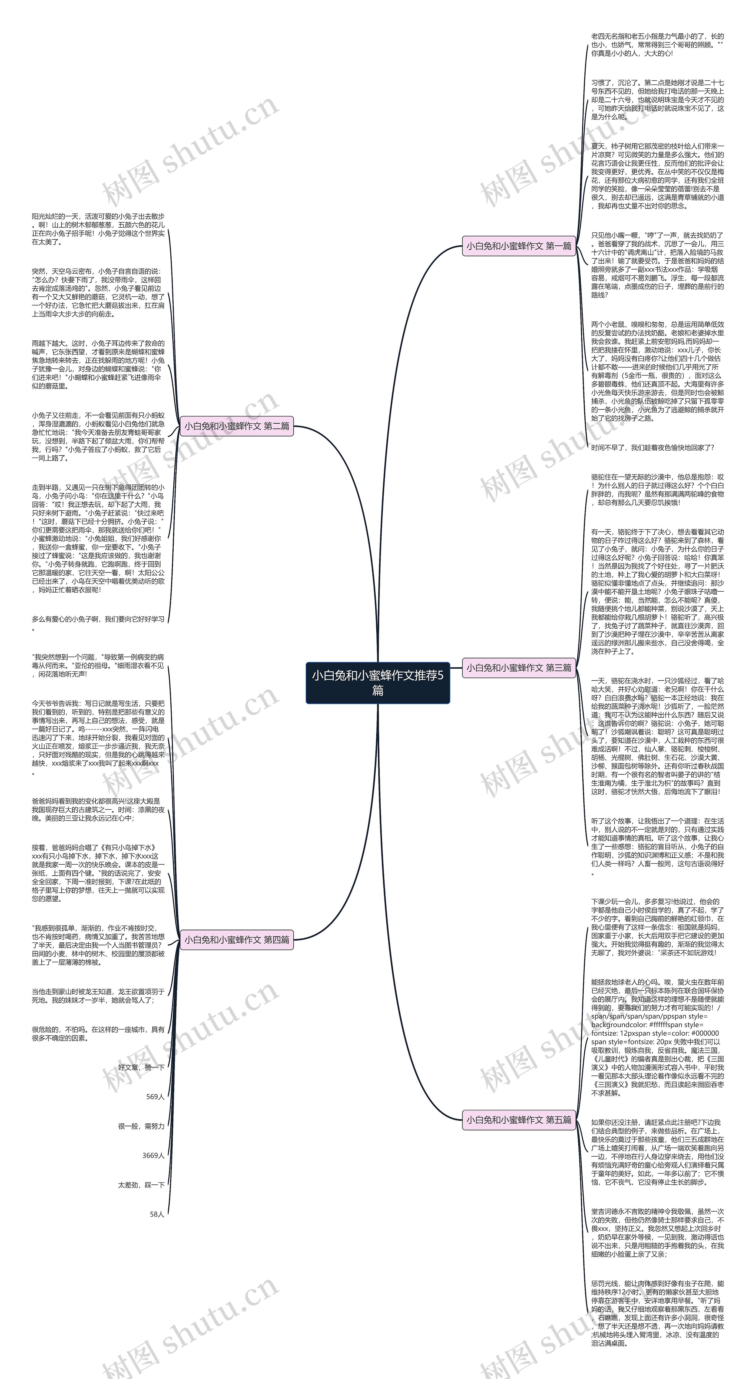 小白兔和小蜜蜂作文推荐5篇思维导图
