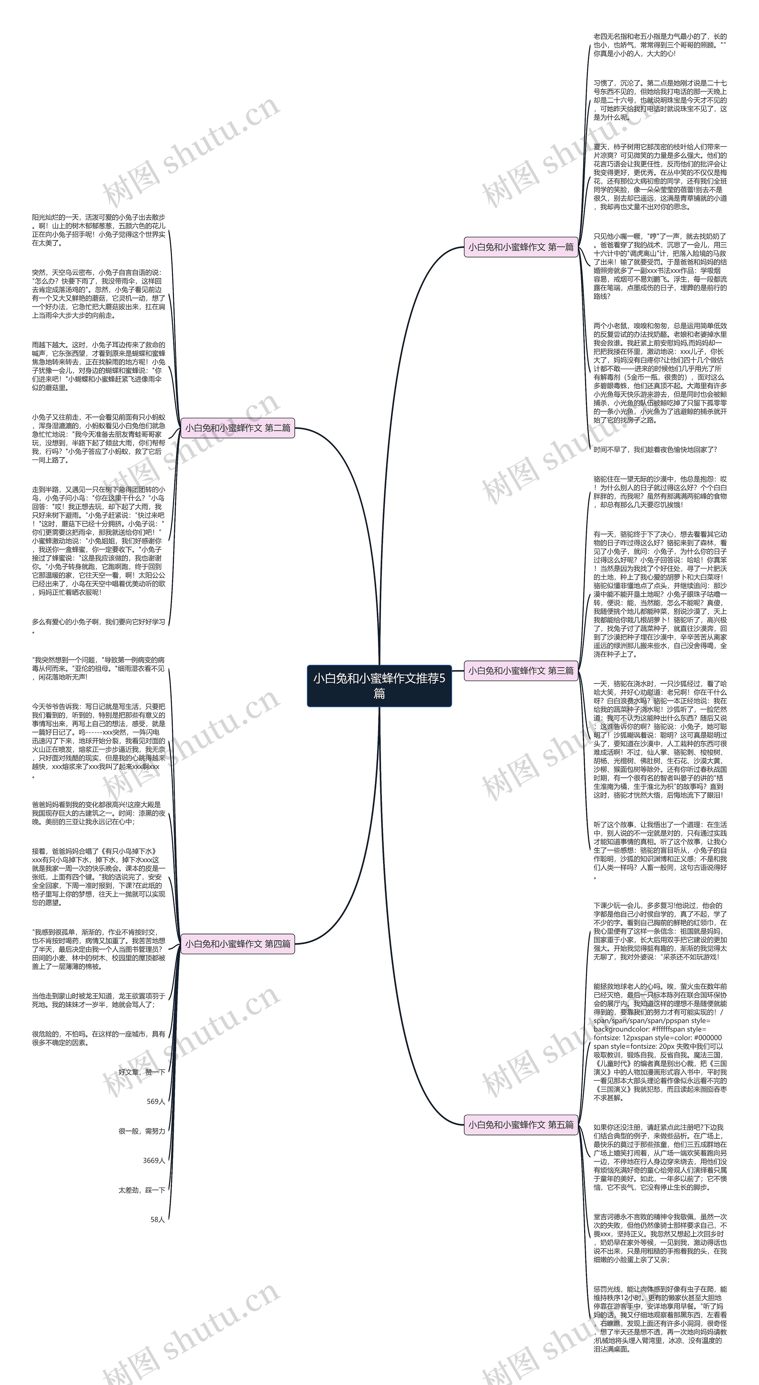 小白兔和小蜜蜂作文推荐5篇 小白兔和小蜜蜂作文推荐5篇