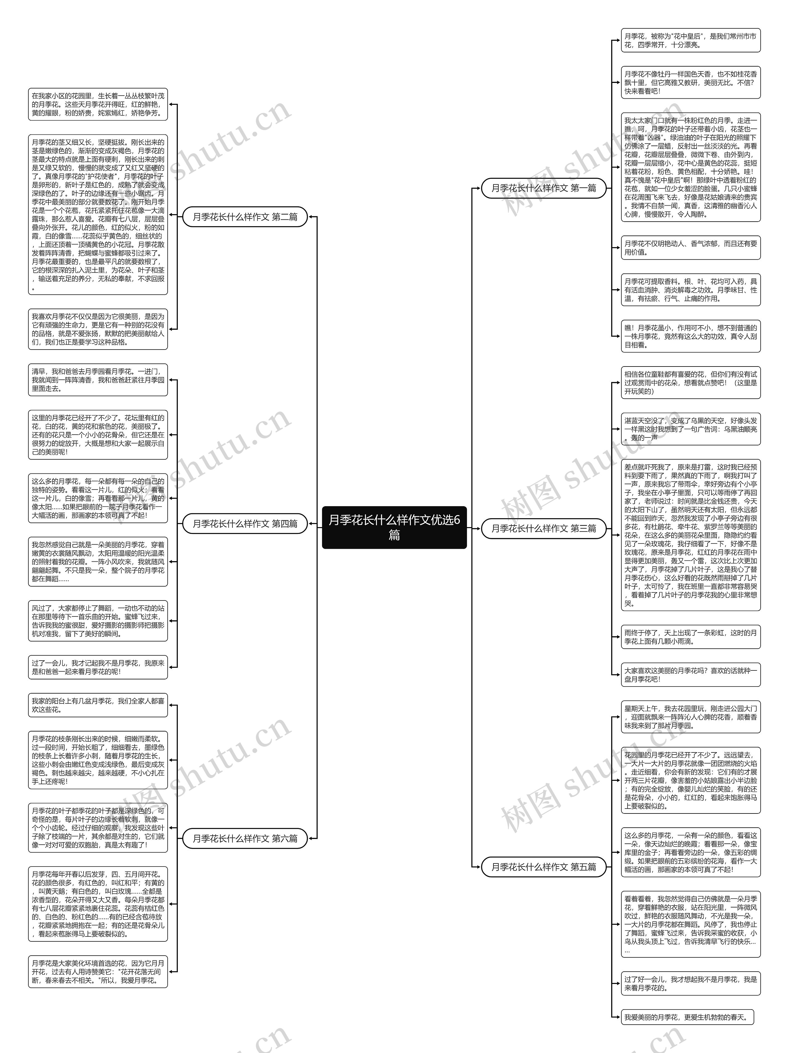 月季花长什么样作文优选6篇思维导图