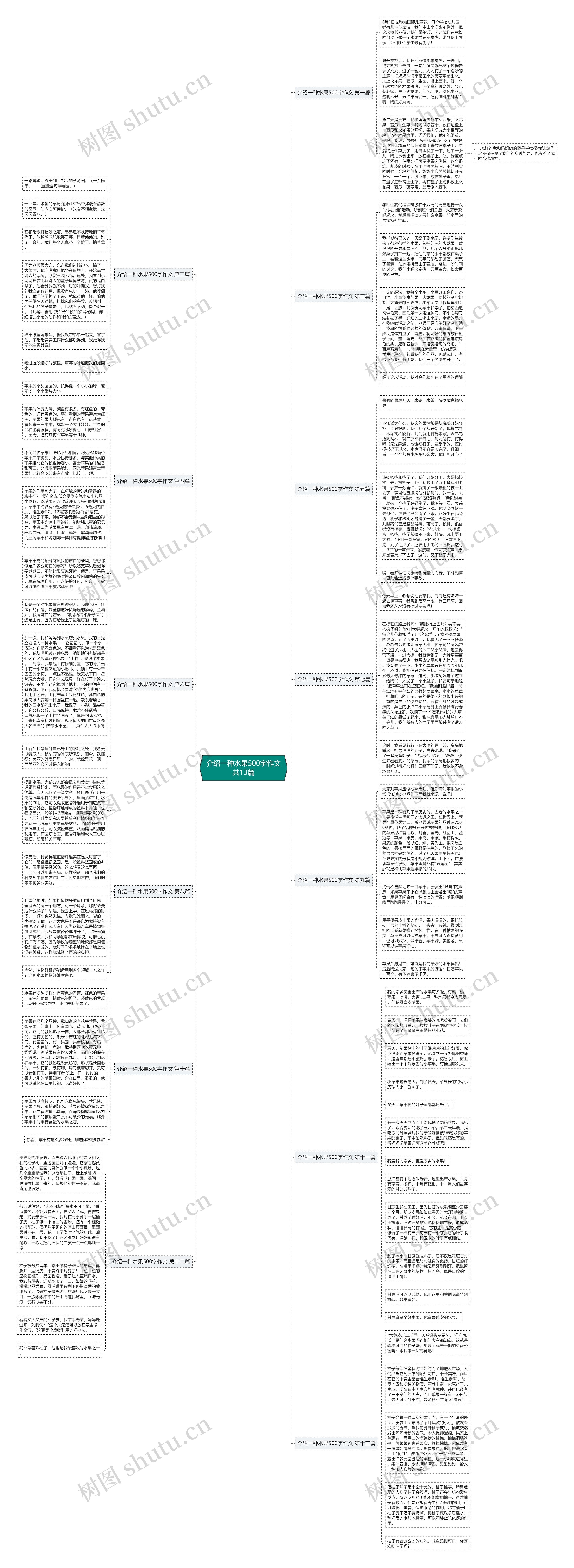 介绍一种水果500字作文共13篇思维导图