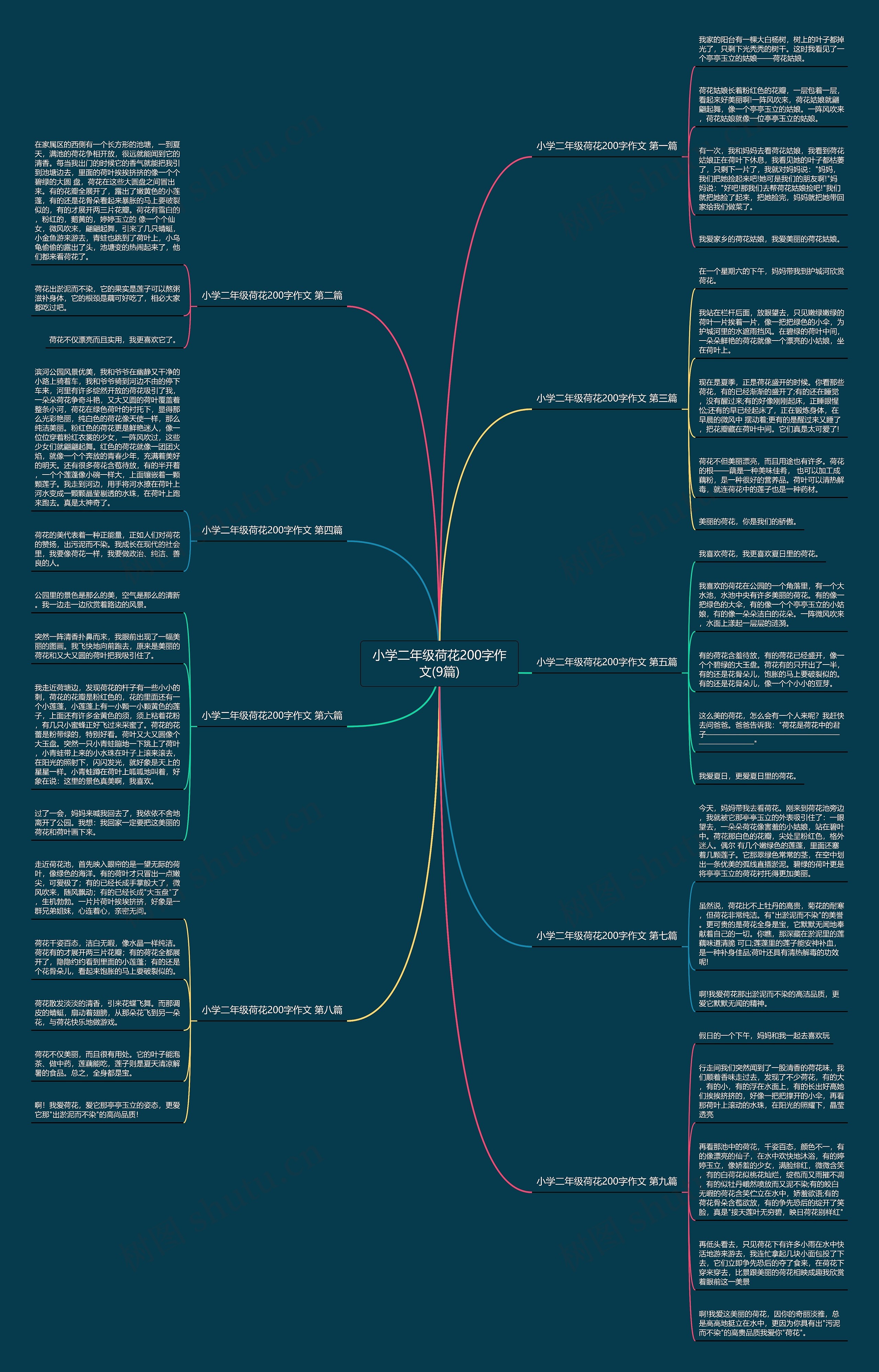 小学二年级荷花200字作文(9篇)思维导图