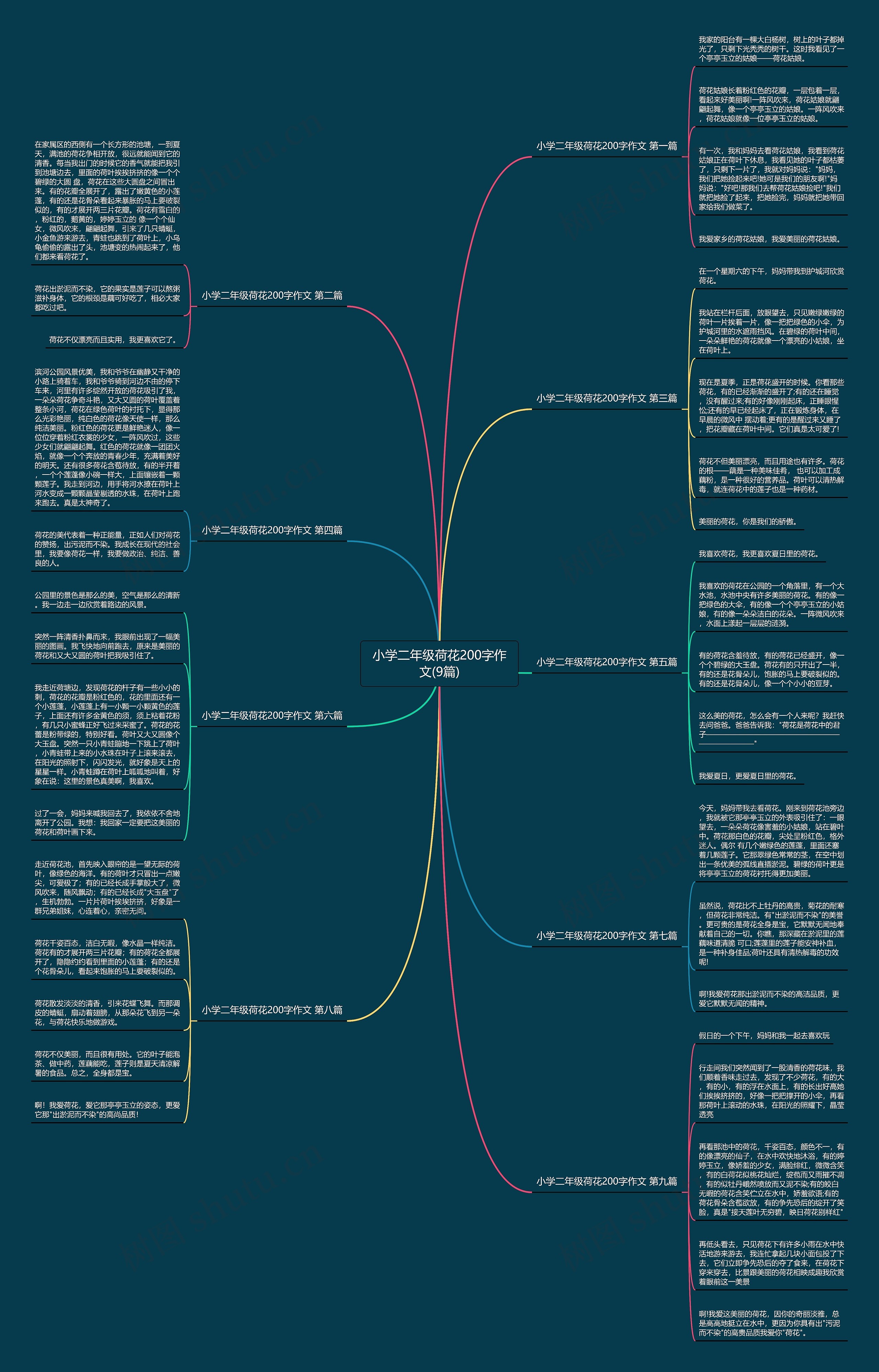 小学二年级荷花200字作文(9篇) 小学二年级荷花200字作文(9篇)