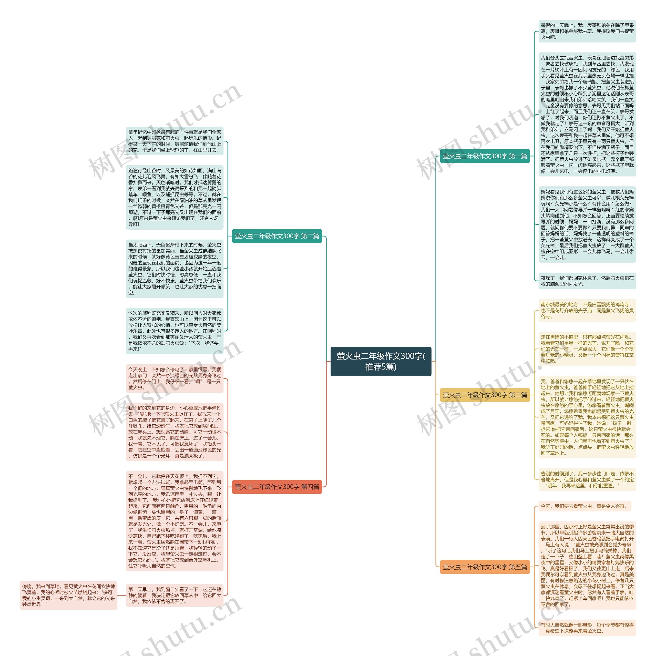 萤火虫二年级作文300字(推荐5篇)思维导图