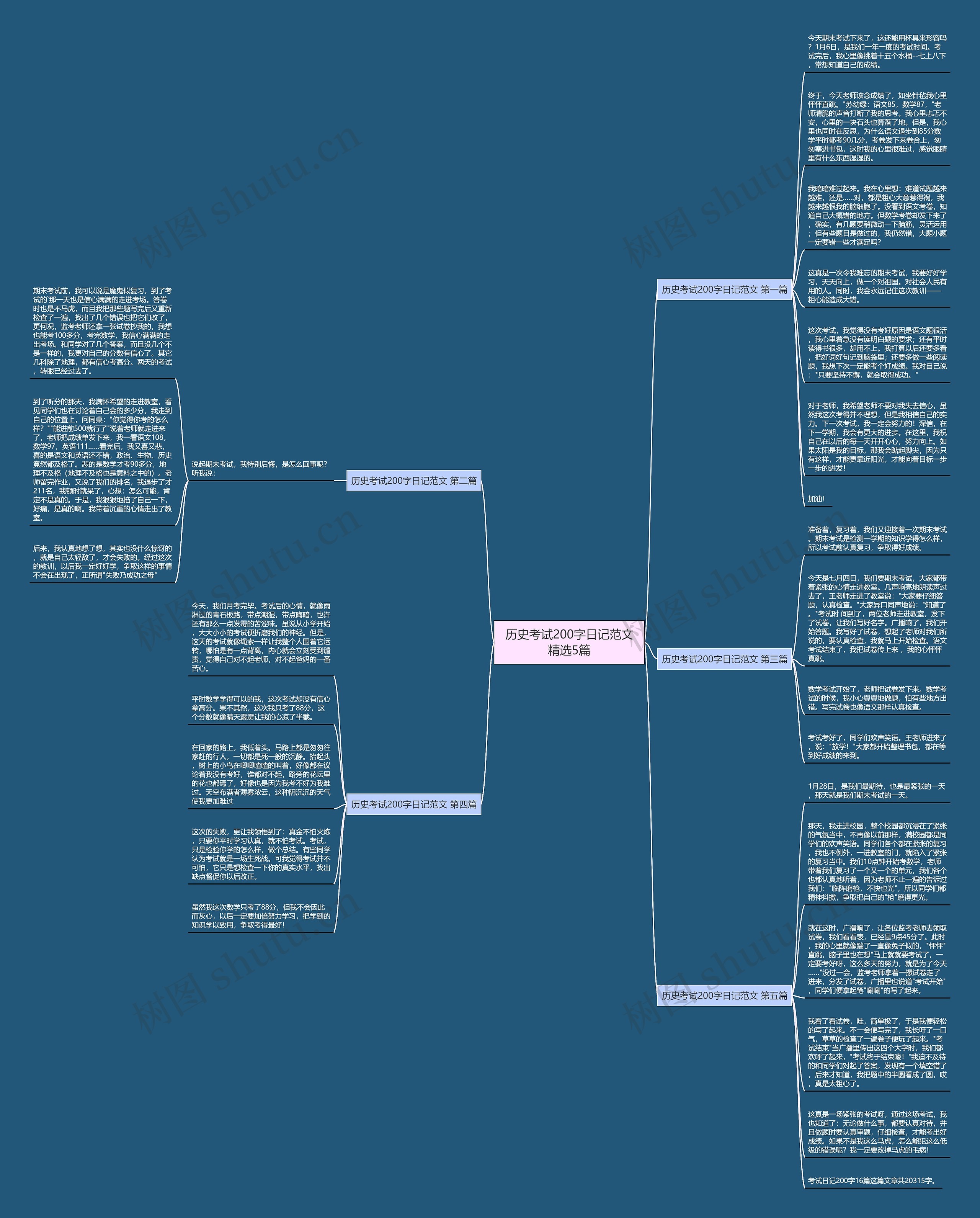 历史考试200字日记范文精选5篇思维导图