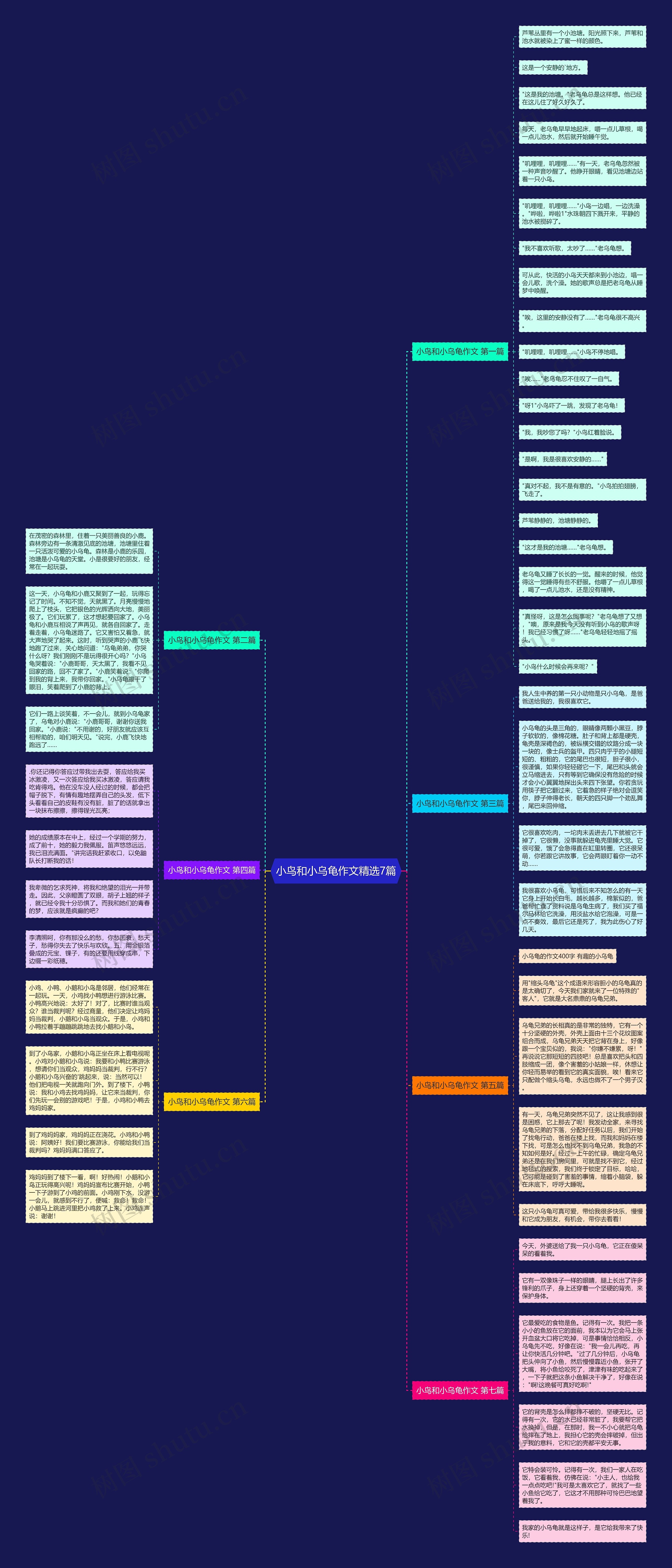 小鸟和小乌龟作文精选7篇思维导图