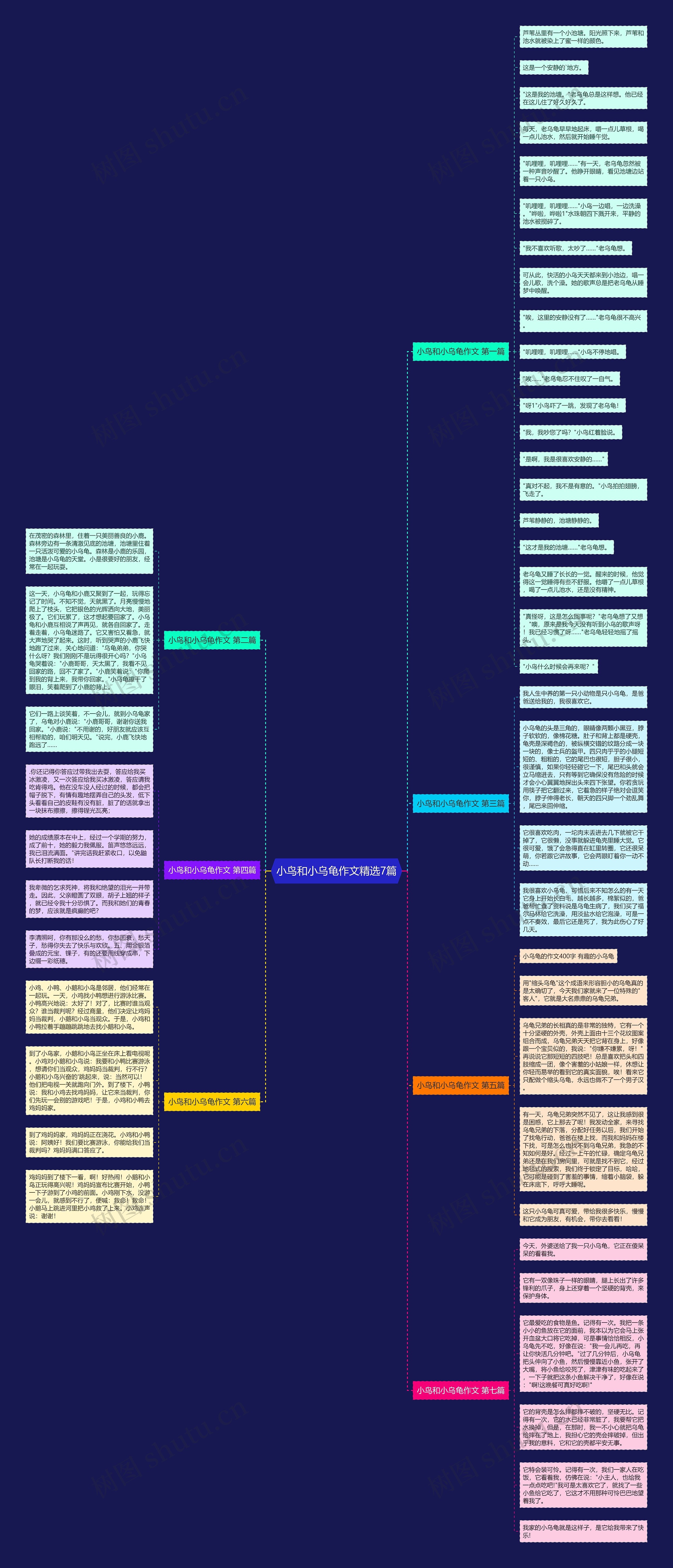 小鸟和小乌龟作文精选7篇 小鸟和小乌龟作文精选7篇